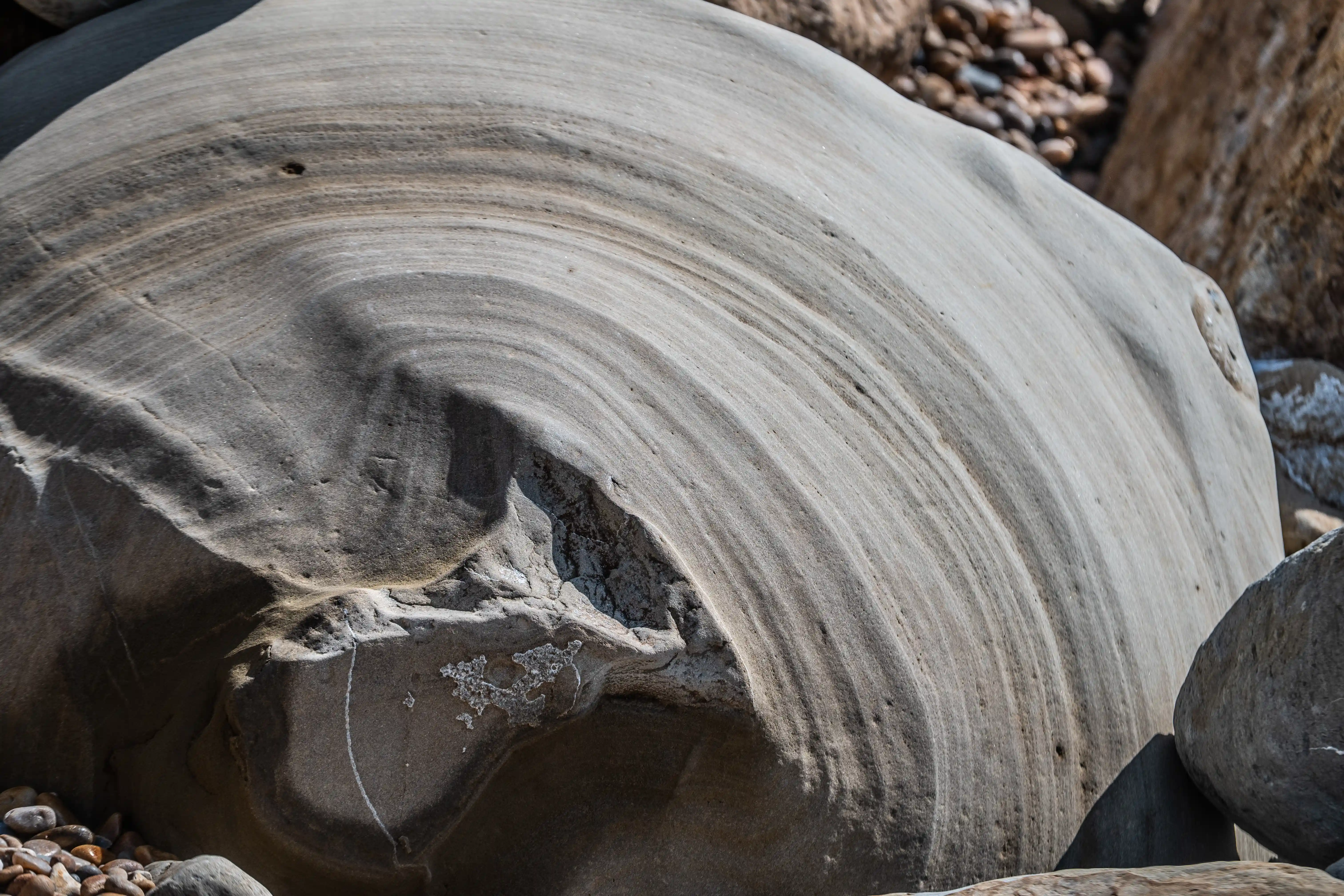 The image depicts a close-up view of a large, smooth, and rounded rock with visible concentric layers. The rock appears to be part of a larger geological formation, possibly a boulder or a large stone structure, situated among smaller rocks and pebbles. The surface of the rock shows signs of erosion and weathering, with some small holes and indentations. The overall scene suggests a natural outdoor setting, likely in a rocky or mountainous area.