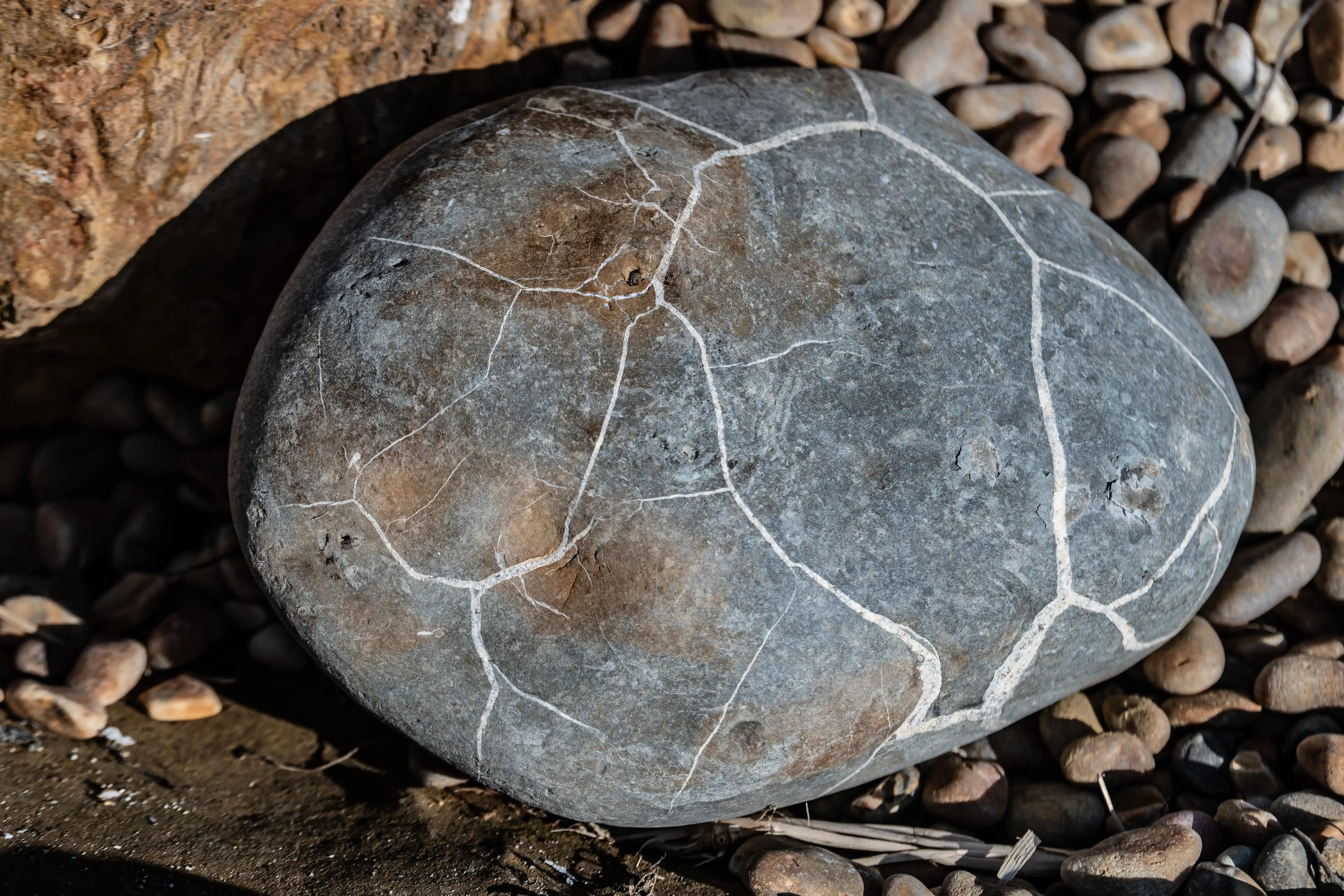 The image shows a close-up of a large, round, gray rock with visible cracks and a smooth surface, resting among smaller, variously sized stones and pebbles on a natural, possibly sandy or muddy ground.