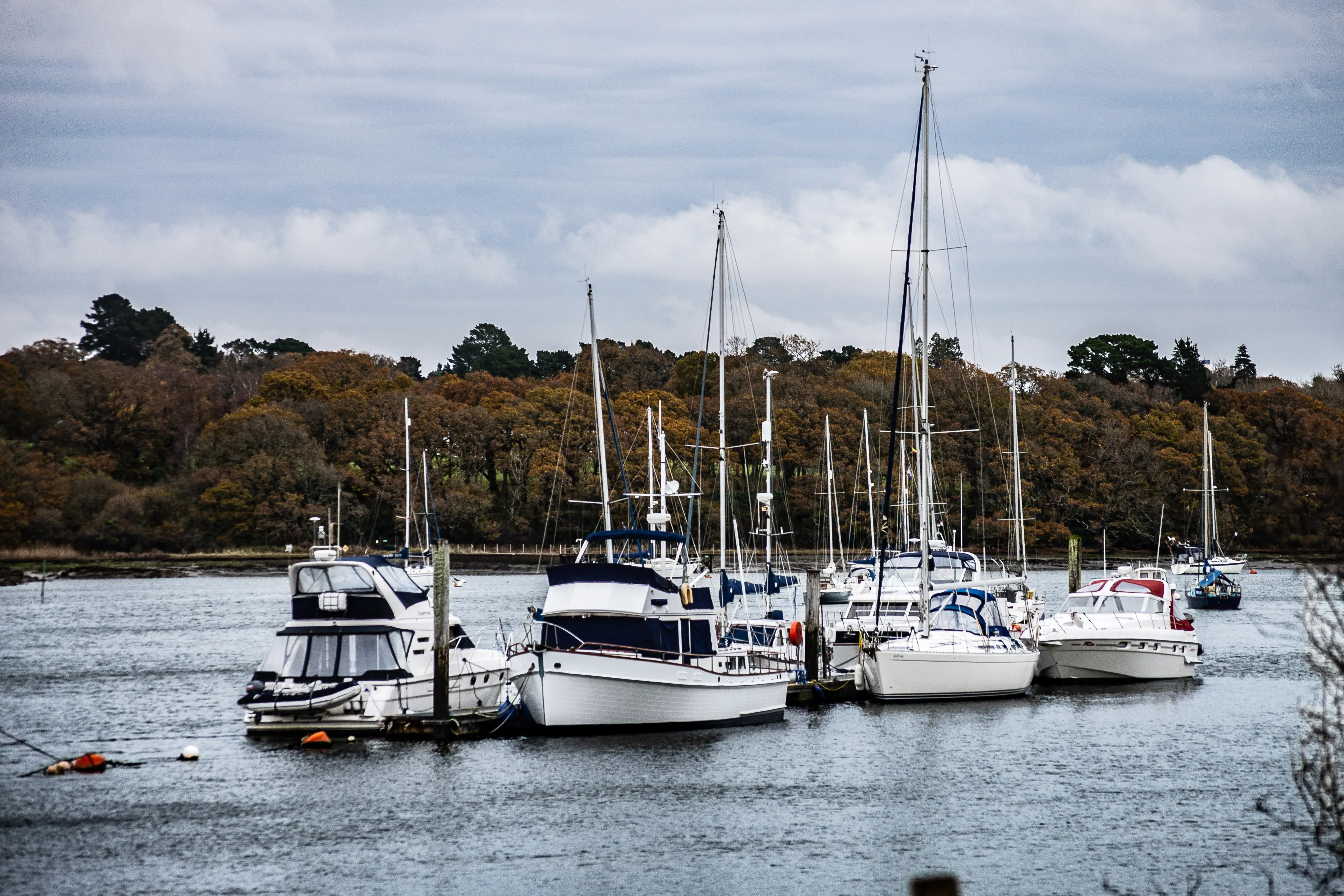 The image shows a marina with several boats docked at the pier. The boats vary in size and type, including sailboats and motorboats. The scene is set against a backdrop of trees with autumn foliage, under a cloudy sky.