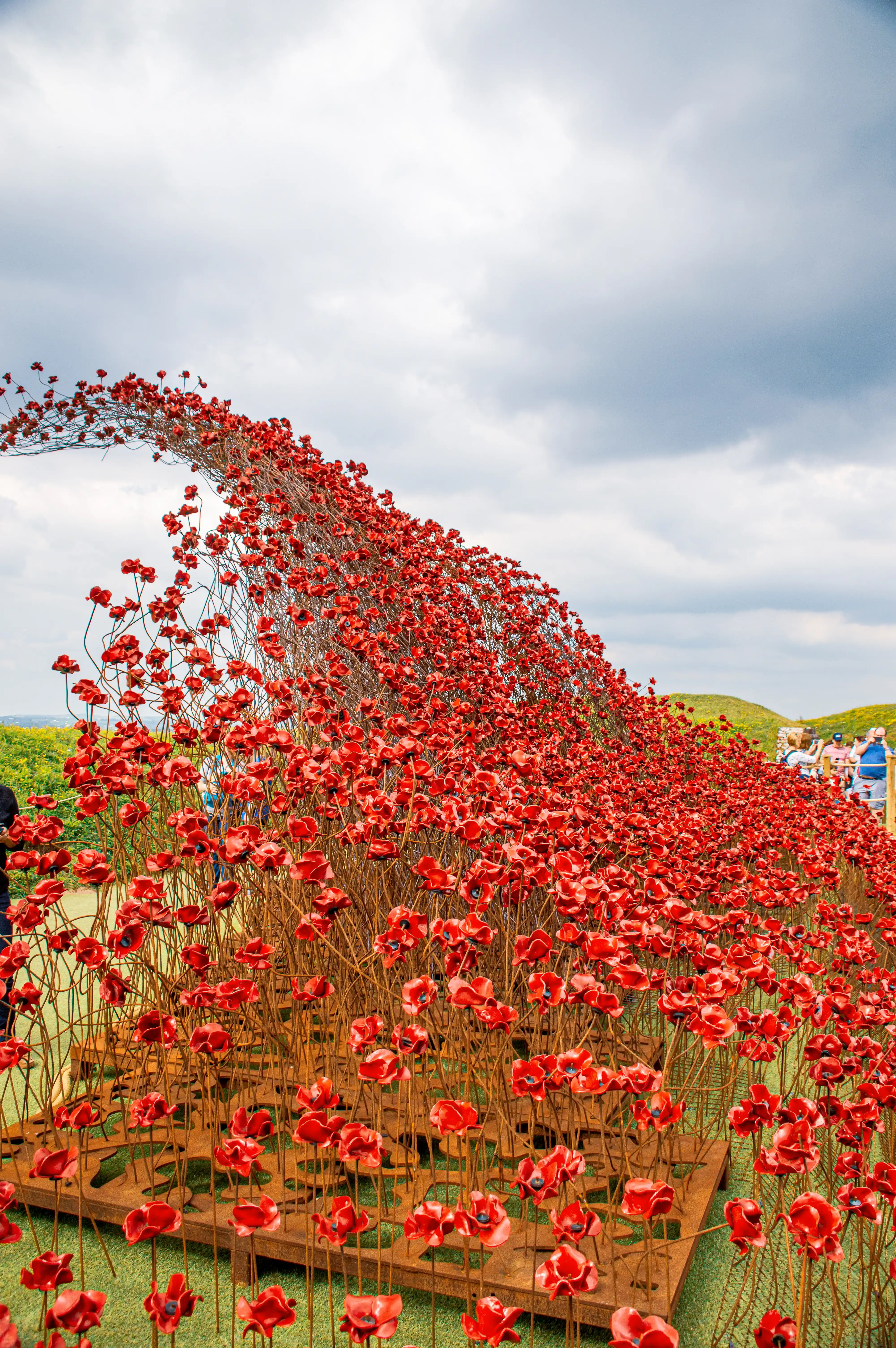The image depicts an outdoor art installation featuring numerous red ceramic poppies arranged in a wave-like formation. The poppies are attached to thin metal stems that are anchored to a wooden base. The installation is set in a grassy area with a cloudy sky in the background. There are people observing the installation, indicating it might be a public exhibition or memorial. The overall scene is serene and evocative, likely symbolizing remembrance or honoring a significant historical event.