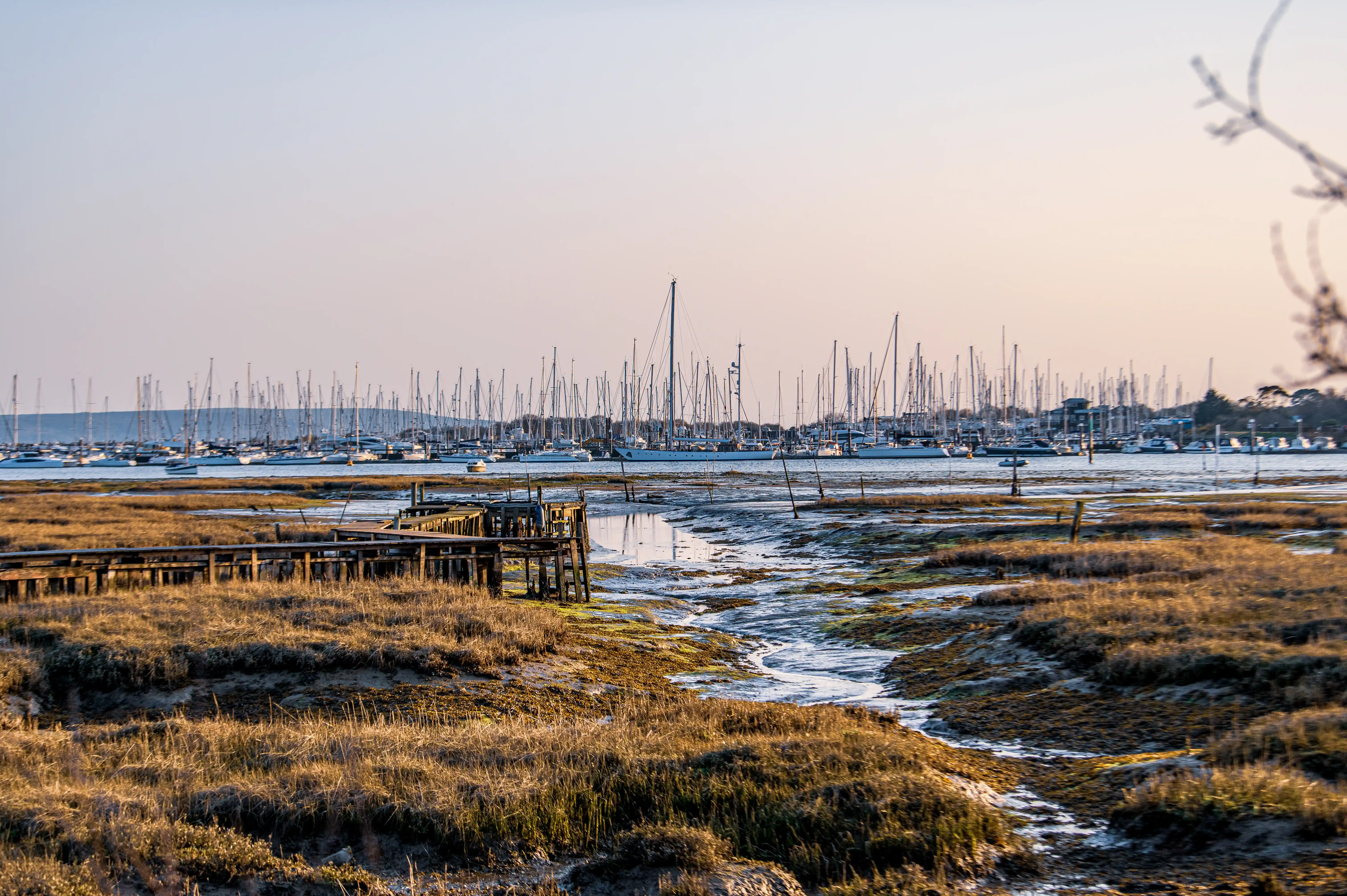 The image depicts a serene coastal scene with a marina filled with numerous sailboats and yachts. In the foreground, there is a mudflat with patches of grass and small pools of water, leading to the marina. The sky is clear, and the overall atmosphere is calm and peaceful, suggesting either early morning or late afternoon.