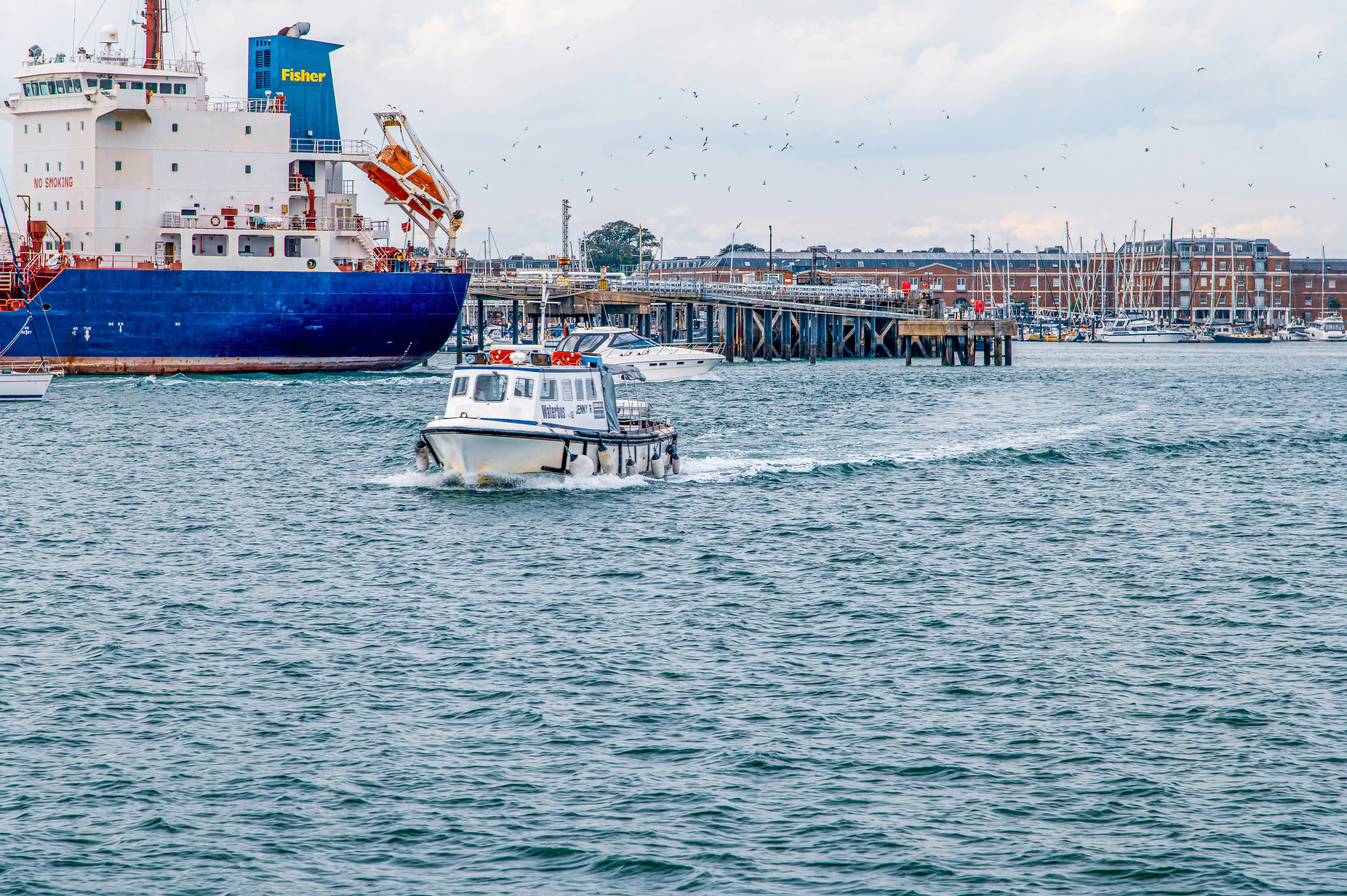 The image depicts a bustling harbor scene with a large cargo ship named 'Fisher' docked at a pier. In the foreground, a smaller boat is moving through the water, creating waves. The harbor is populated with various other boats and yachts, and numerous seagulls are flying overhead. The background features a mix of industrial and residential buildings, indicating a busy port area.