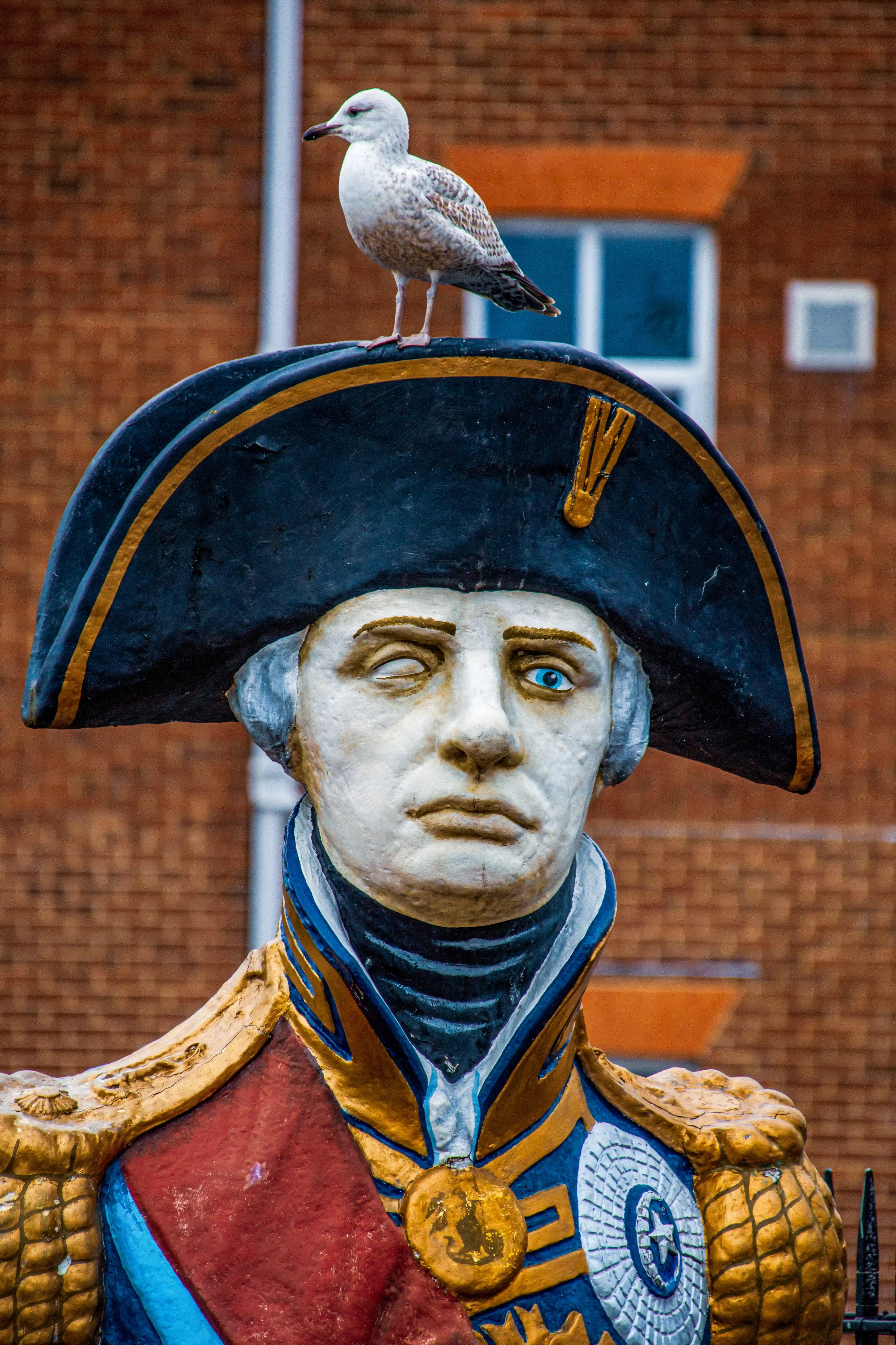 The image depicts a statue of a historical figure in military attire, including a tricorn hat with gold trim and a medal on the chest. A seagull is perched on top of the statue's head. The statue appears to be made of a weathered material, possibly wood or plaster, and is set against a brick building backdrop.