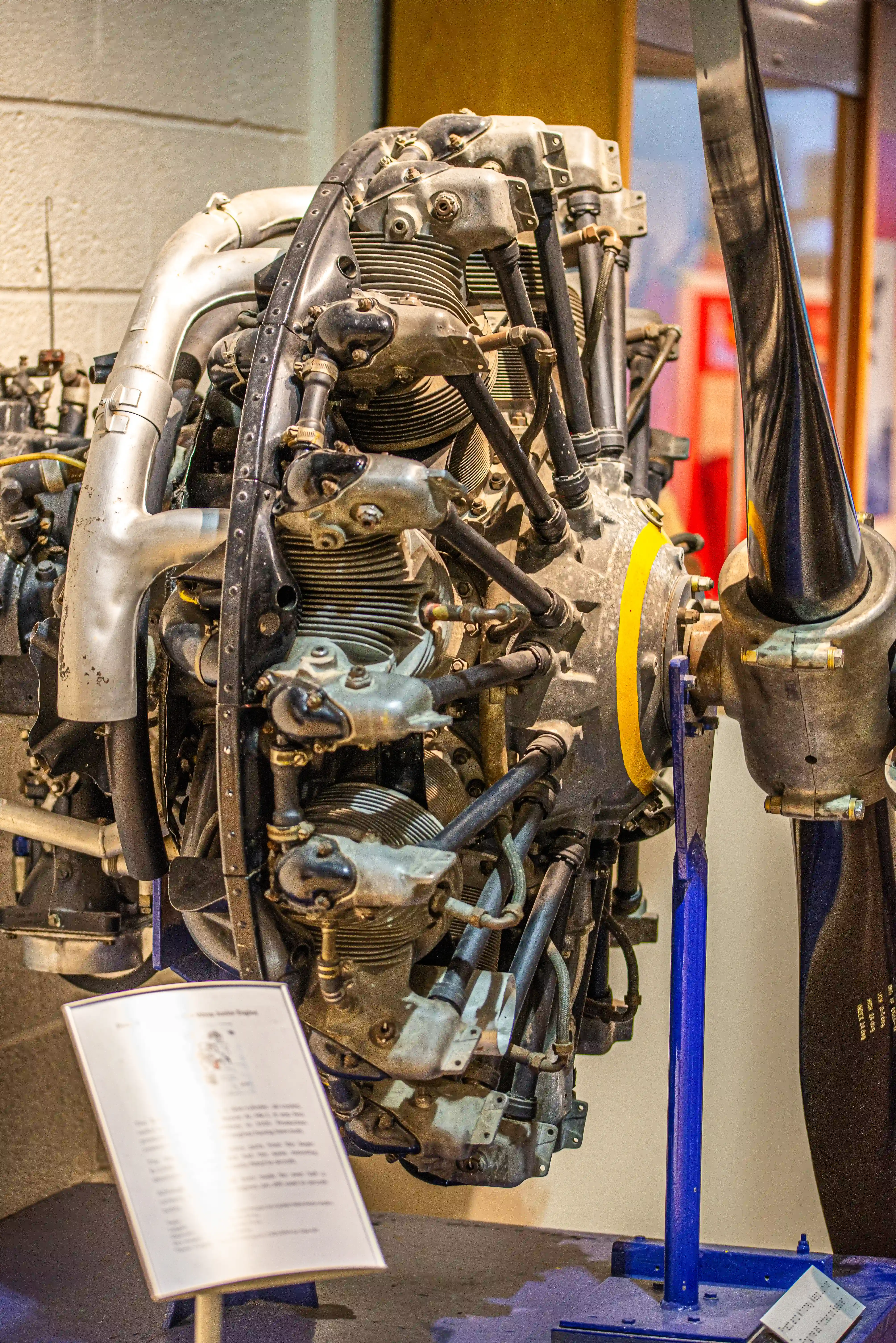 Close-up of a vintage radial aircraft engine with multiple cylinders, exposed plumbing, and a propeller, presented for display in a museum setting.