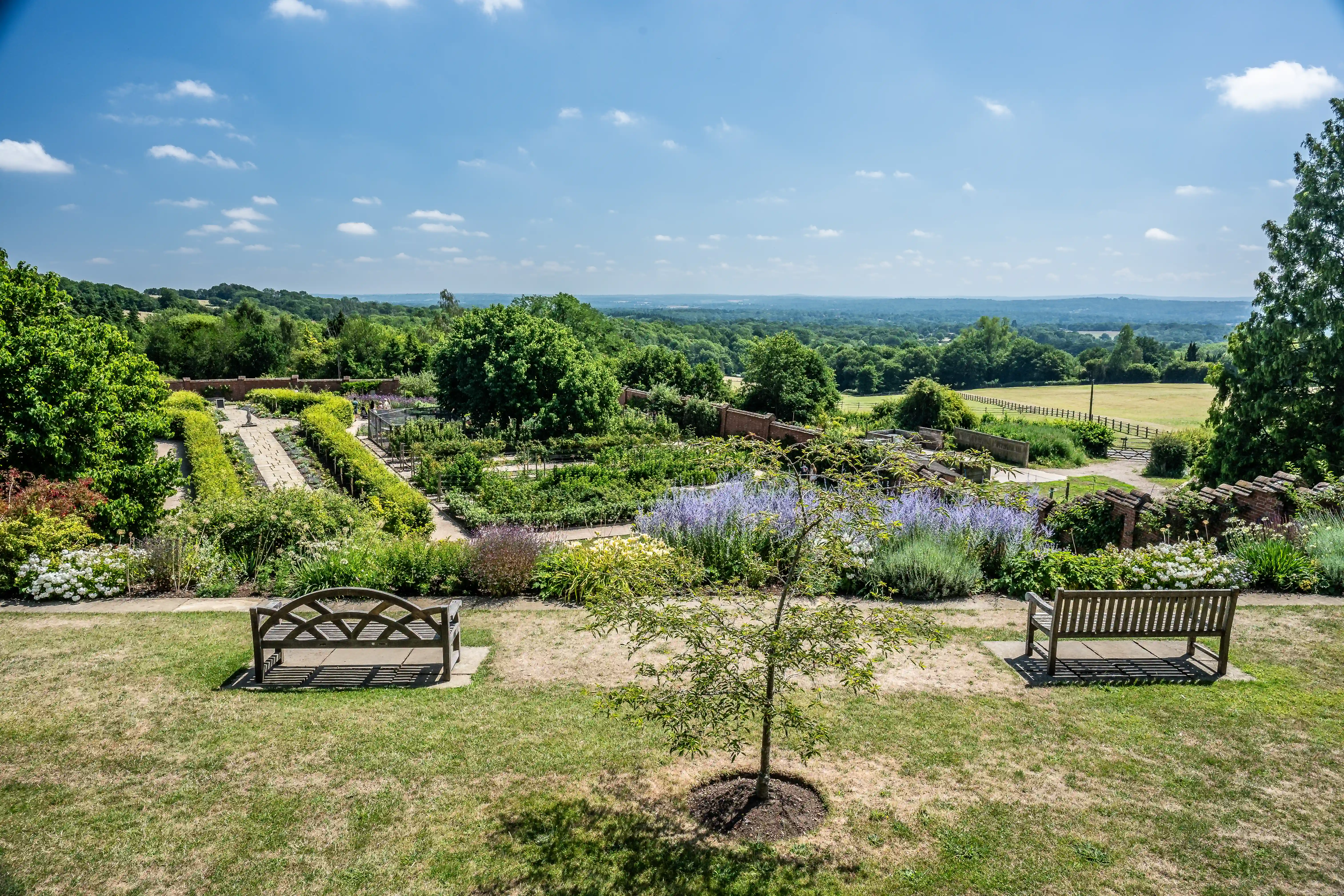 The image depicts a beautifully landscaped garden with a variety of plants and flowers. There are two benches situated on a grassy area, providing seating for visitors. The garden is bordered by a brick wall and has pathways winding through it. In the background, there is a vast expanse of greenery and trees extending to the horizon under a clear blue sky.