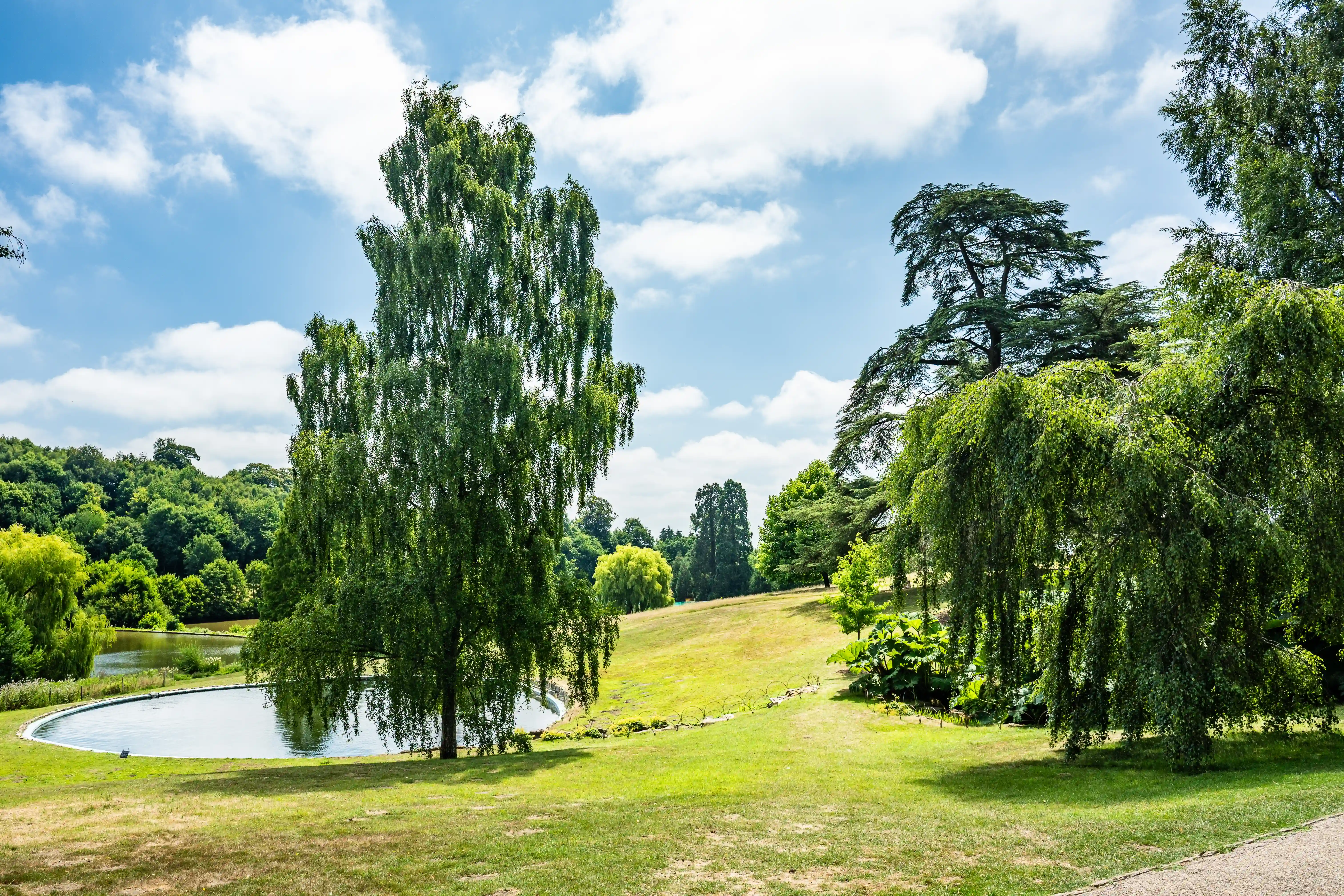 The image depicts a serene park landscape with a variety of trees, a pond, and lush greenery. The sky is clear with a few scattered clouds, and the scene is bathed in natural daylight. The area appears to be well-maintained, with a path visible in the foreground. The combination of water, greenery, and open space creates a tranquil and picturesque environment.