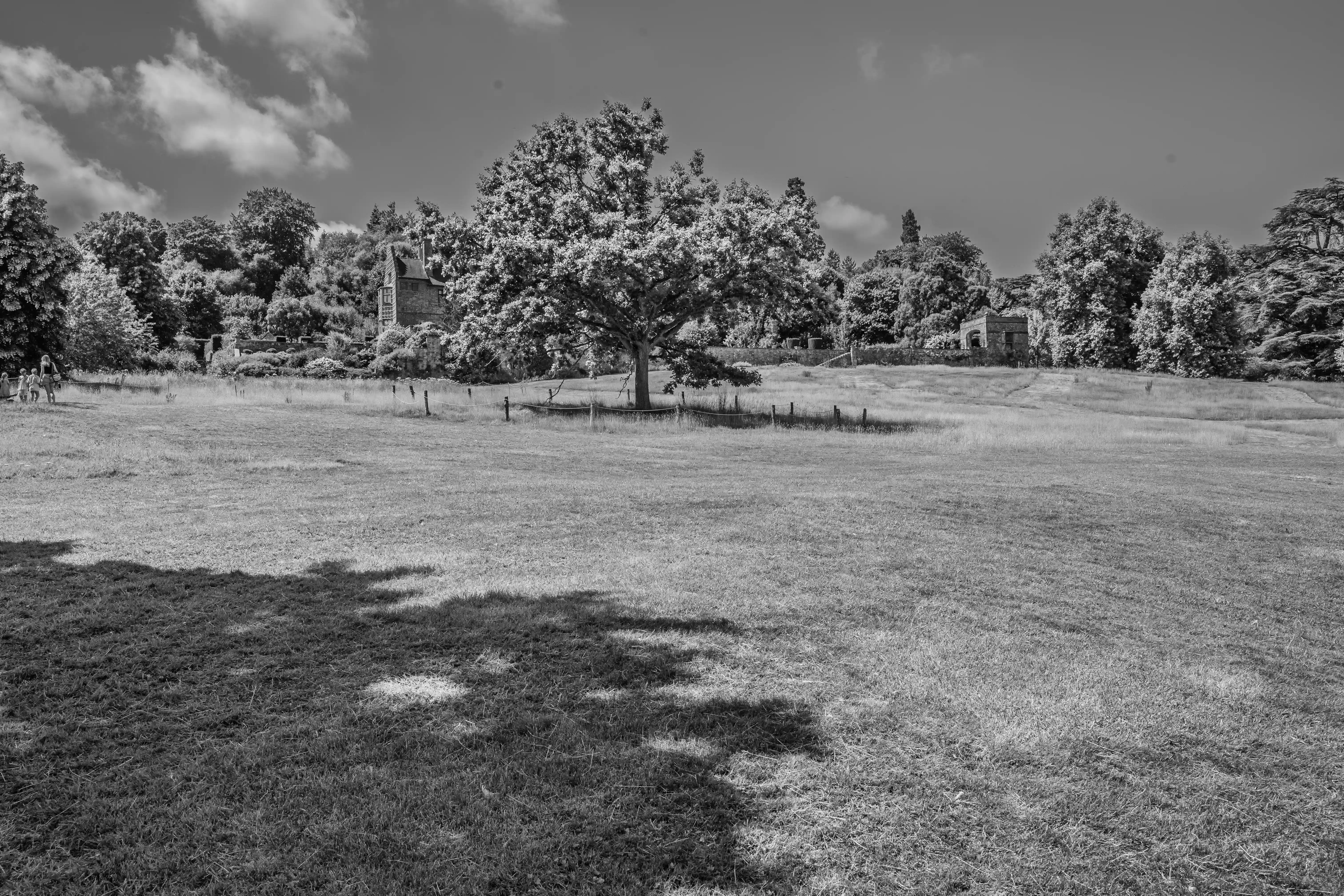 The image depicts a serene, expansive landscape in black and white. In the foreground, there is a large grassy field with varying textures and shadows. A few people are visible in the distance, walking near a cluster of trees and bushes. In the background, there are several large trees and a building, possibly a house or cottage, partially obscured by foliage. The sky is mostly clear with some clouds, adding to the tranquil atmosphere of the scene.