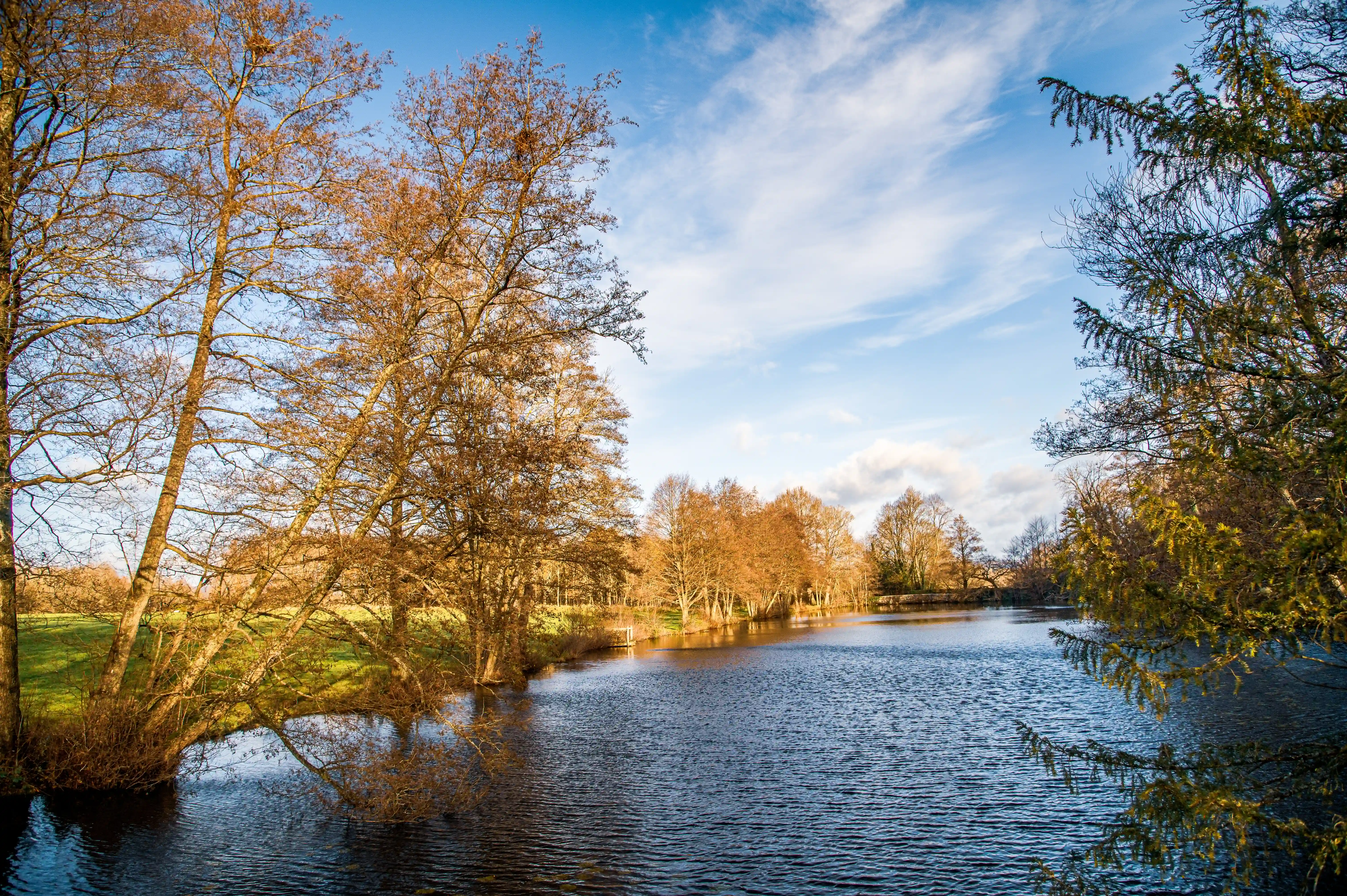 A tranquil lake in autumn, bordered by trees with golden-brown leaves, reflecting the blue sky and white clouds.