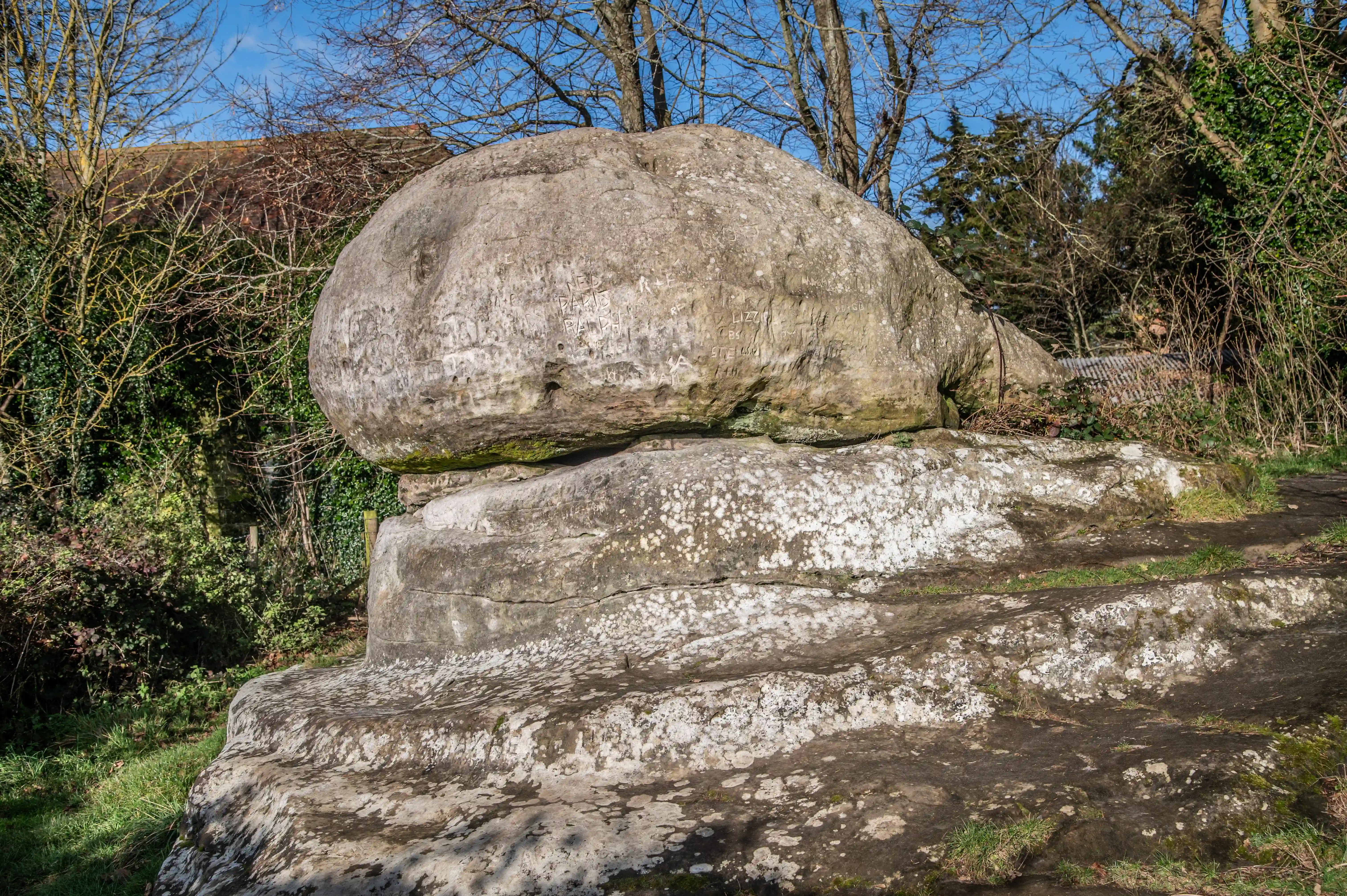 A large, ancient-looking stone, possibly a glacial erratic, sits atop a natural rock pedestal. The stone is speckled with white lichen and bears subtle carvings, suggesting human interaction over time. The surrounding landscape is verdant with trees and grass, and a National Trust information sign for Chiddingstone is present in the lower right corner.