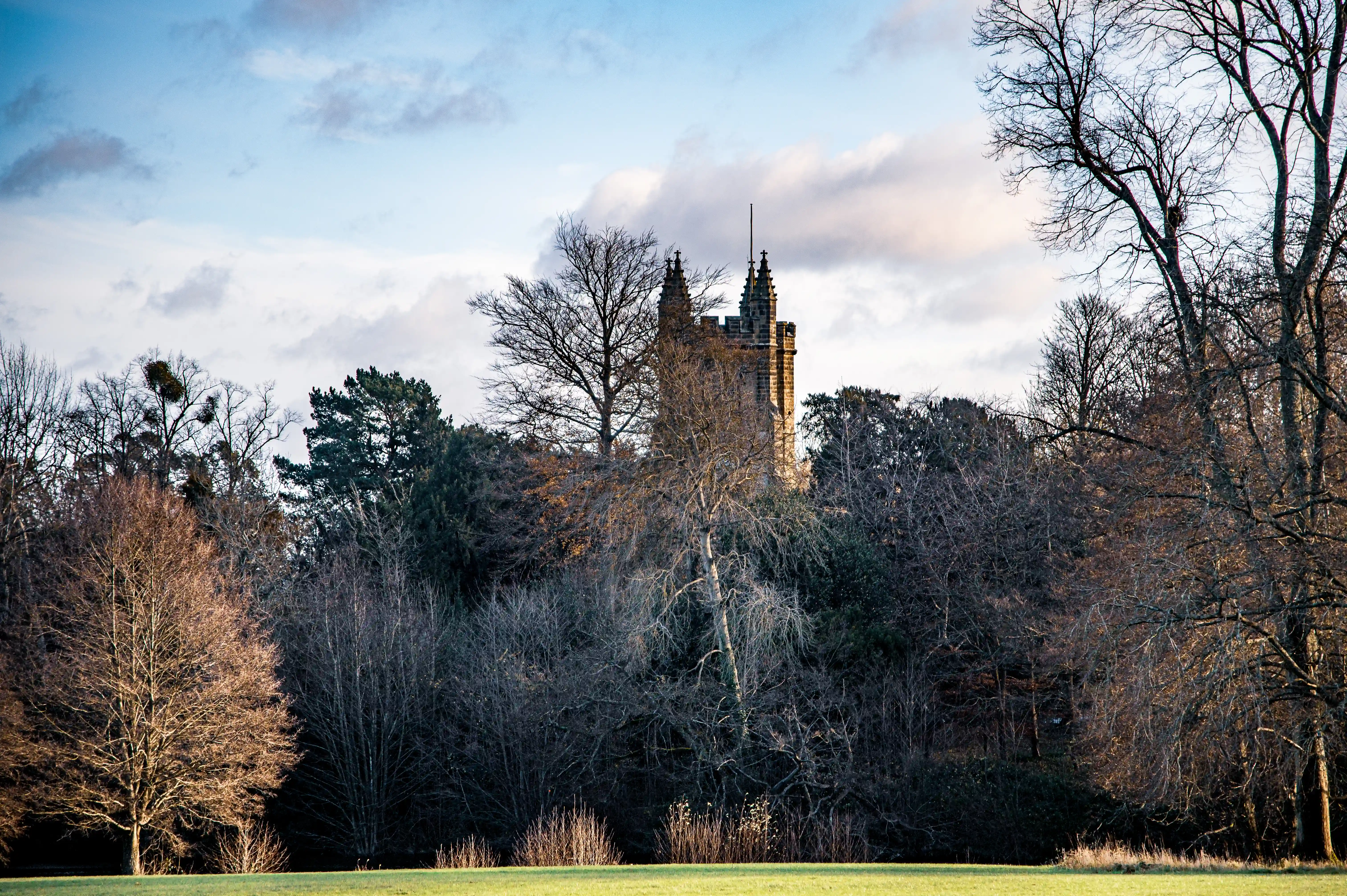A stone tower with crenellated battlements and spires rises above a dense forest of bare-branched trees under a cloudy sky. Green grass is in the foreground.