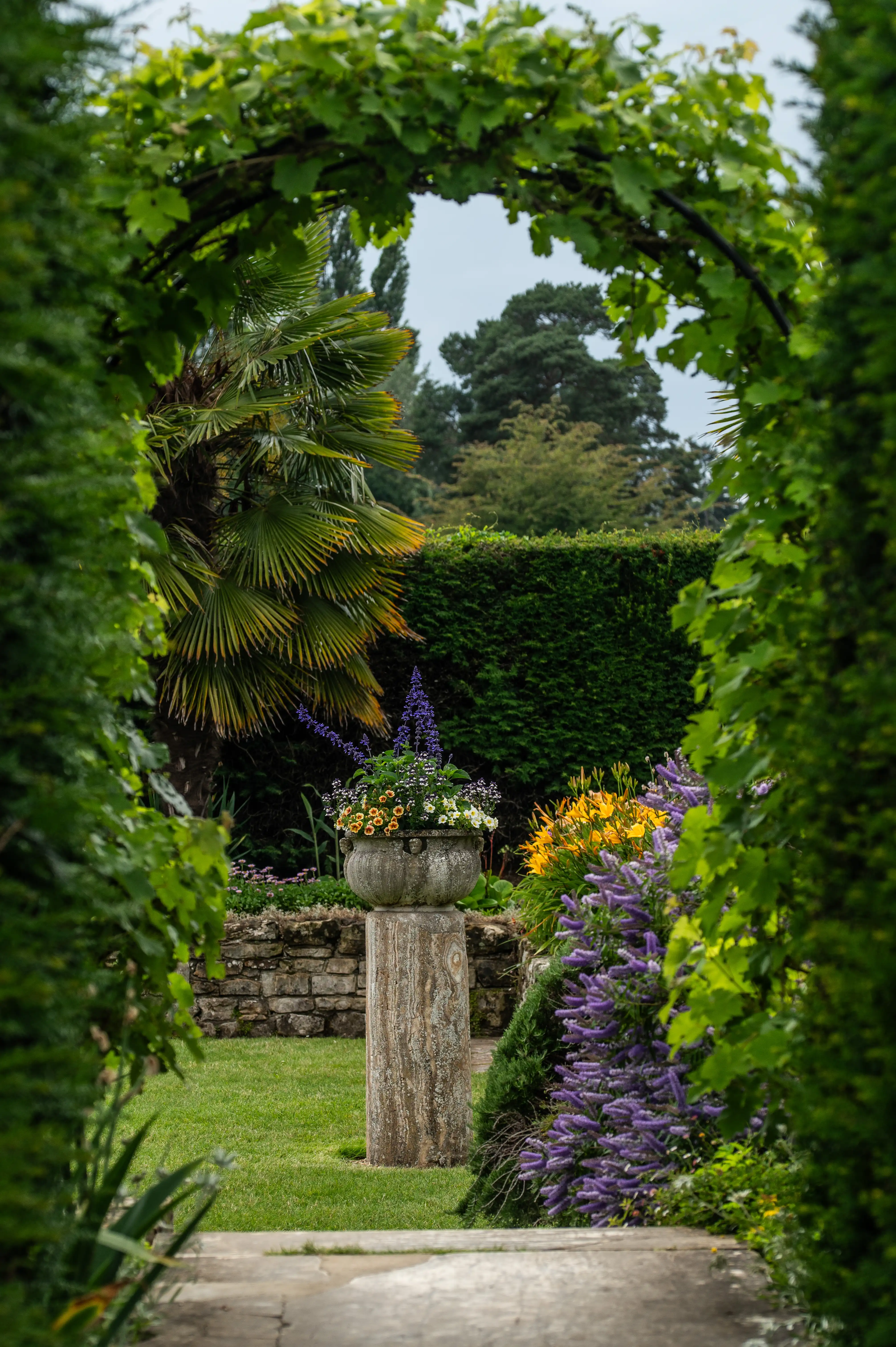 View through a green garden archway of a stone urn filled with colourful flowers on a pedestal, with a palm tree and various plants in the background.