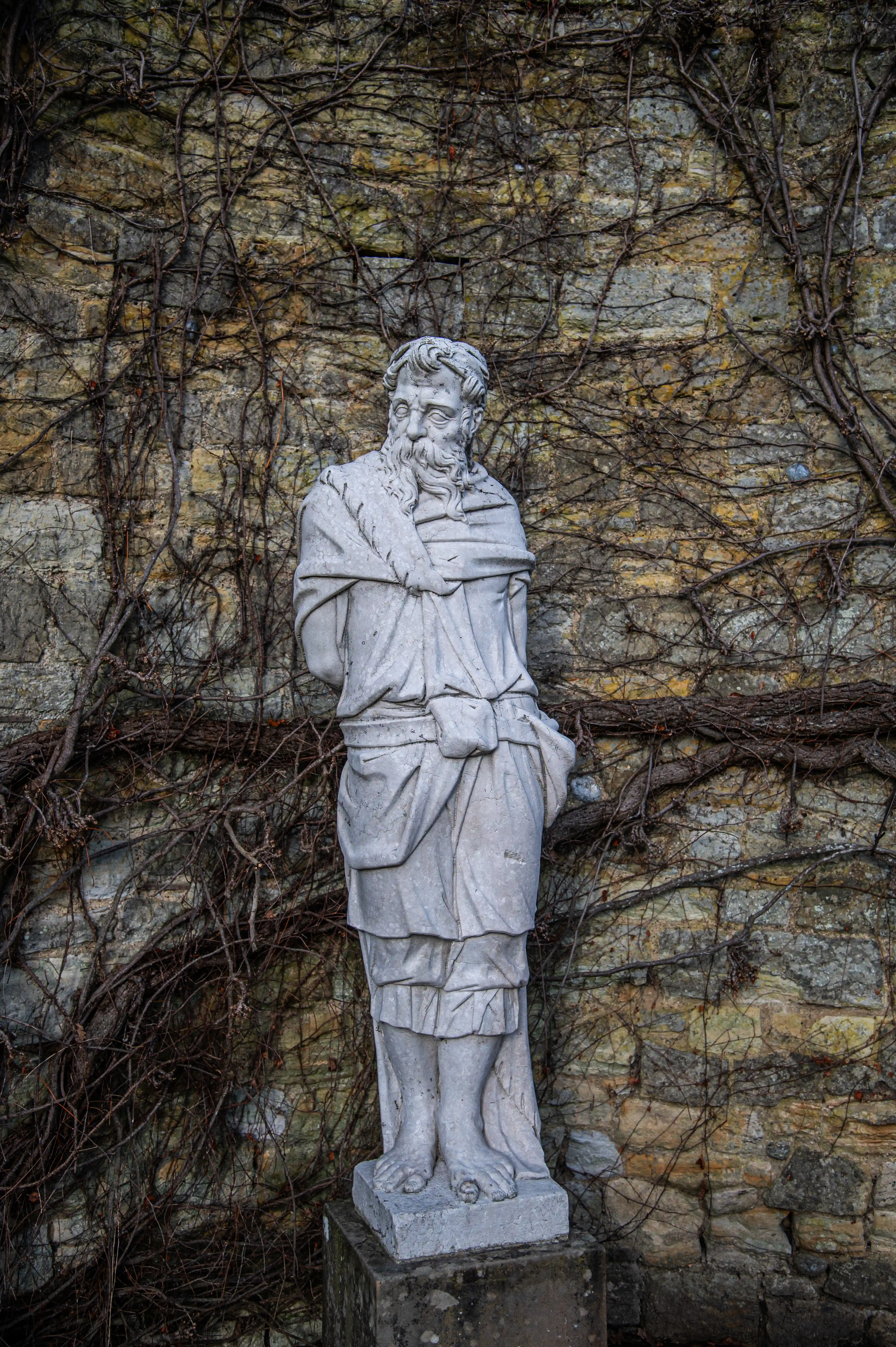 A full-body, grey stone statue of a man with a long beard, wearing a toga-like garment, is positioned in front of a textured stone wall overgrown with dark, leafless ivy branches.