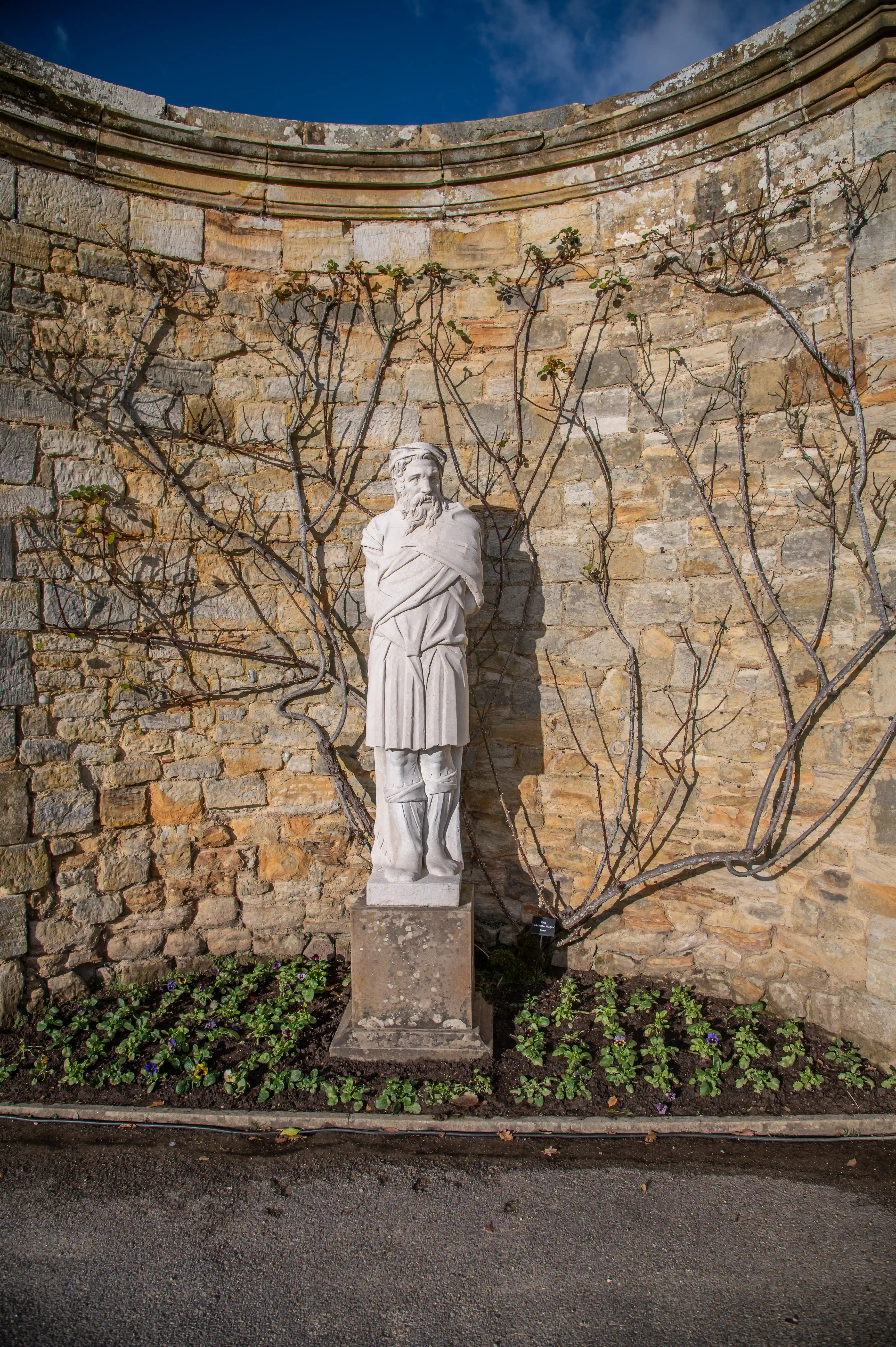 A weathered stone statue of a bearded man stands in a curved niche against a textured stone wall. Bare branches of a climbing plant are trained around the niche, reaching towards the statue. A small bed of flowering plants with purple and yellow blooms is planted at the base of the statue. The ground in front of the planting bed is asphalt.