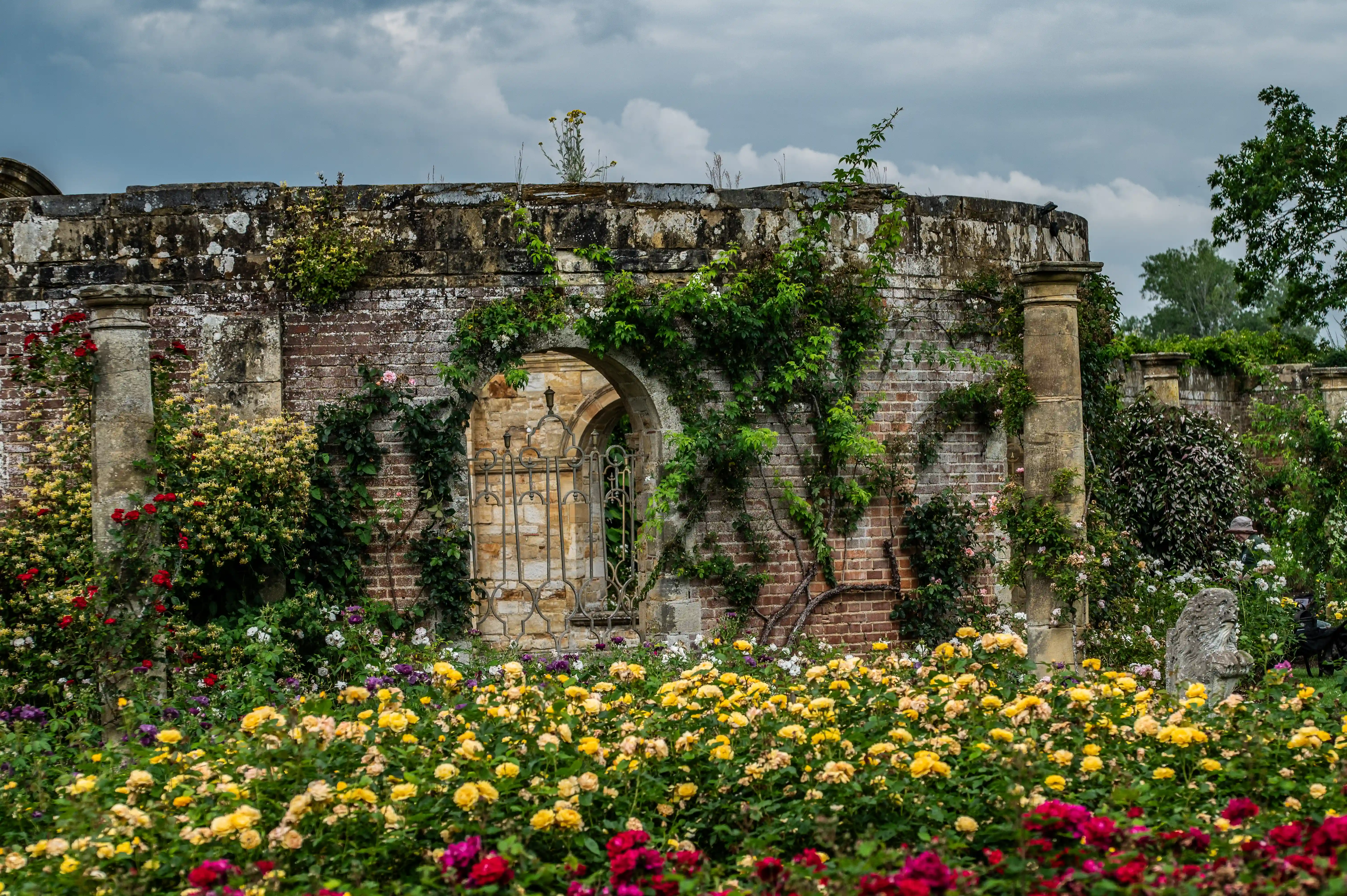  A detailed image of a historic walled garden bursting with colourful roses, featuring a weathered brick wall with an arched doorway and ornate metal gates, partially covered in creeping vines.
