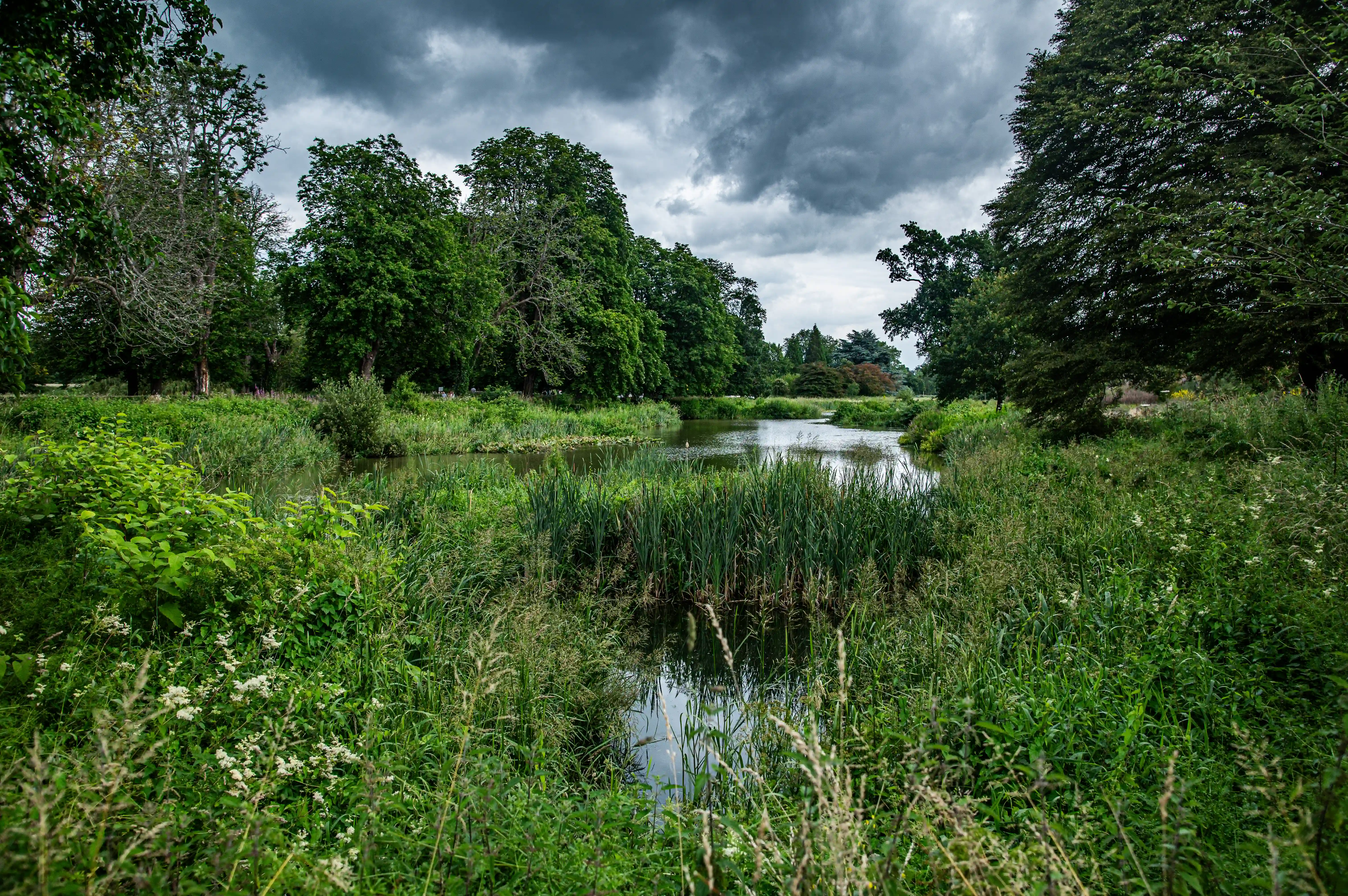 A wide shot of a pond surrounded by dense foliage and trees. The sky is overcast with dark clouds, and the water reflects the sky.