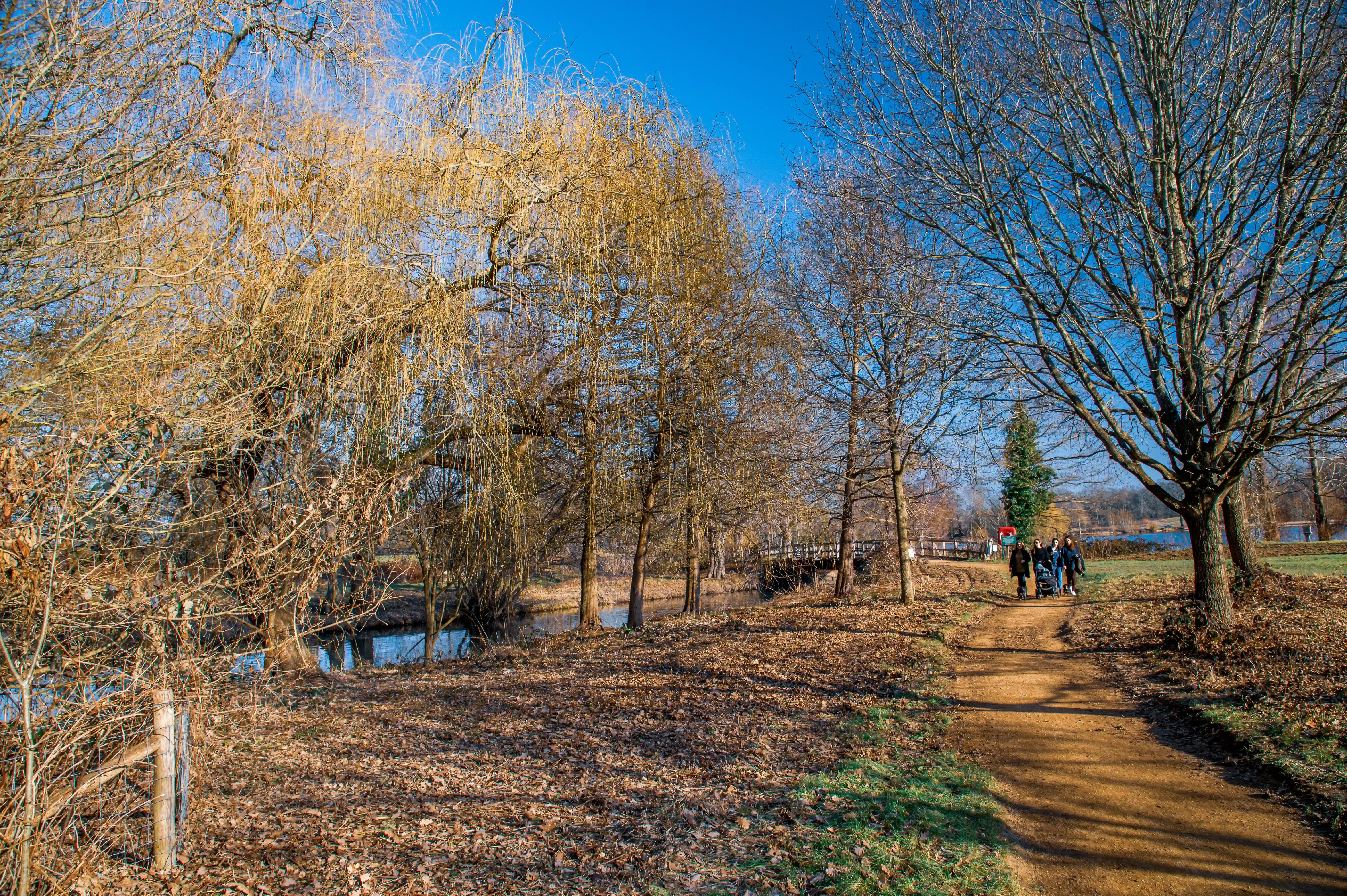 A group of friends walks down a dirt path covered in fallen leaves, alongside a calm river. Bare trees with golden and brown foliage frame the scene, and a wooden bridge is visible in the background. The sky is a vibrant blue.