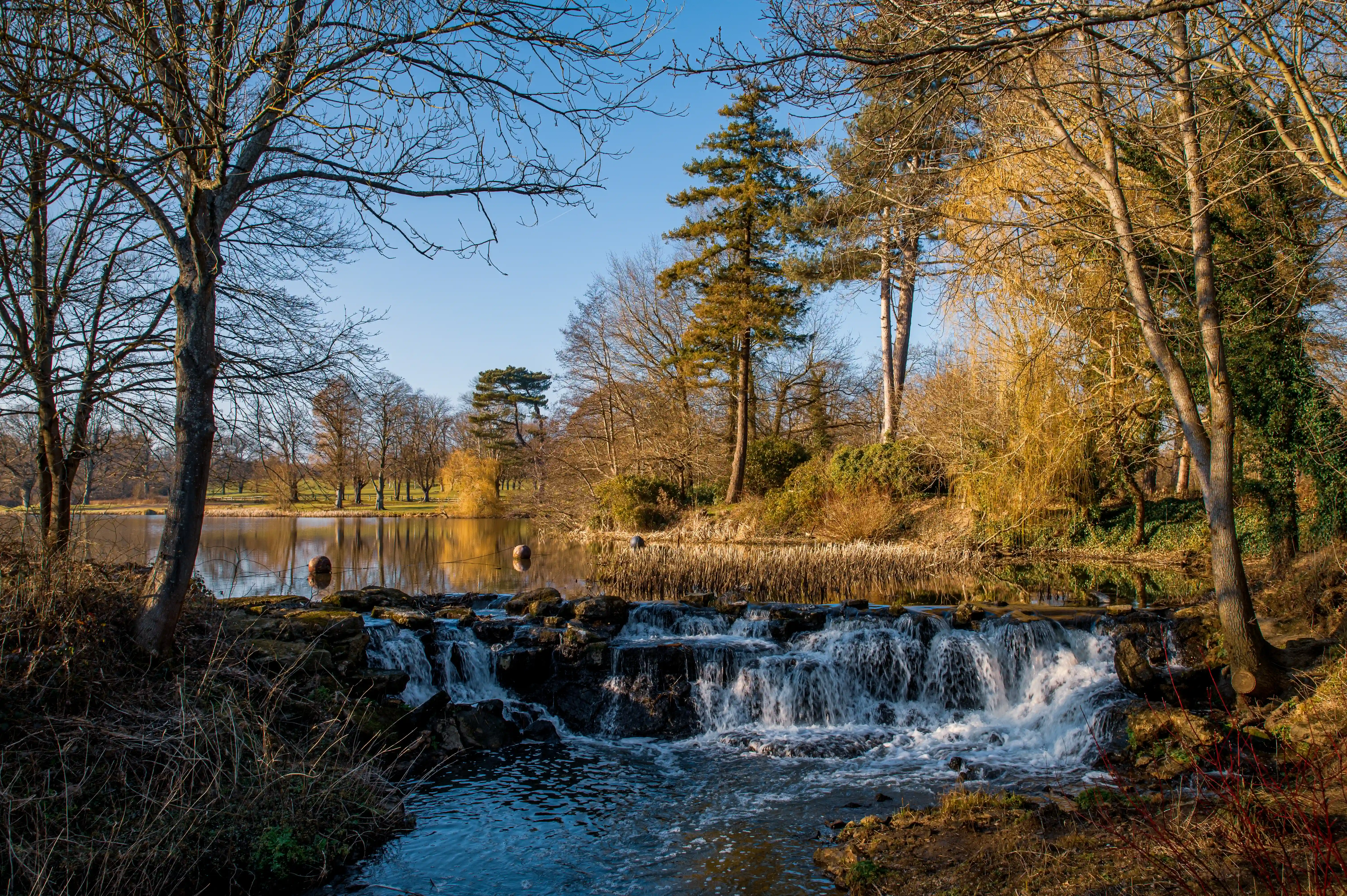 A calm lake reflects trees, including a tall pine, and the clear blue sky. The trees on the bank are mostly bare, suggesting autumn or winter.