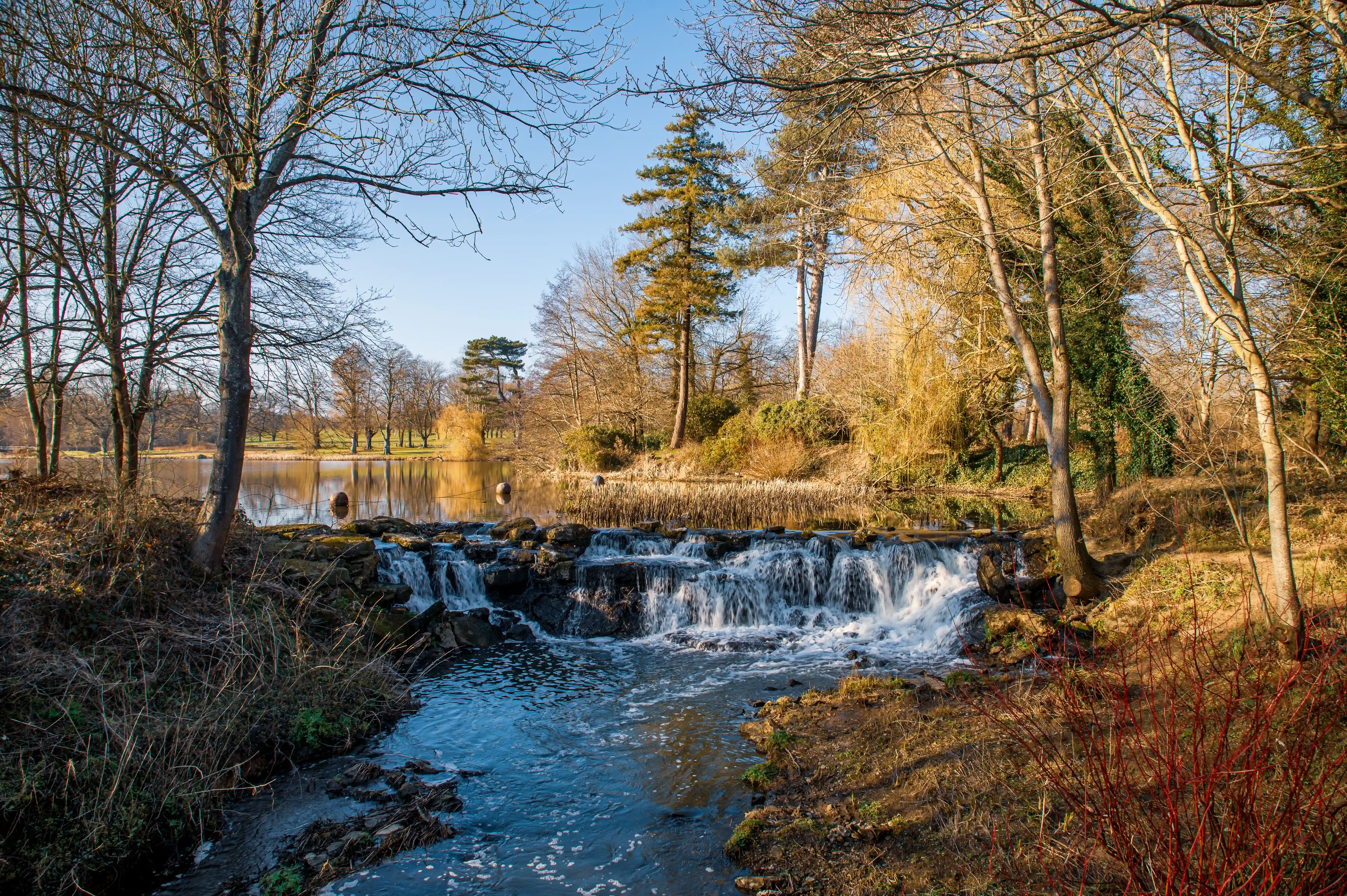 A picturesque view of a park in winter, featuring a gentle waterfall in the foreground, a still lake beyond, and deciduous trees with a scattering of evergreens under a bright blue sky.