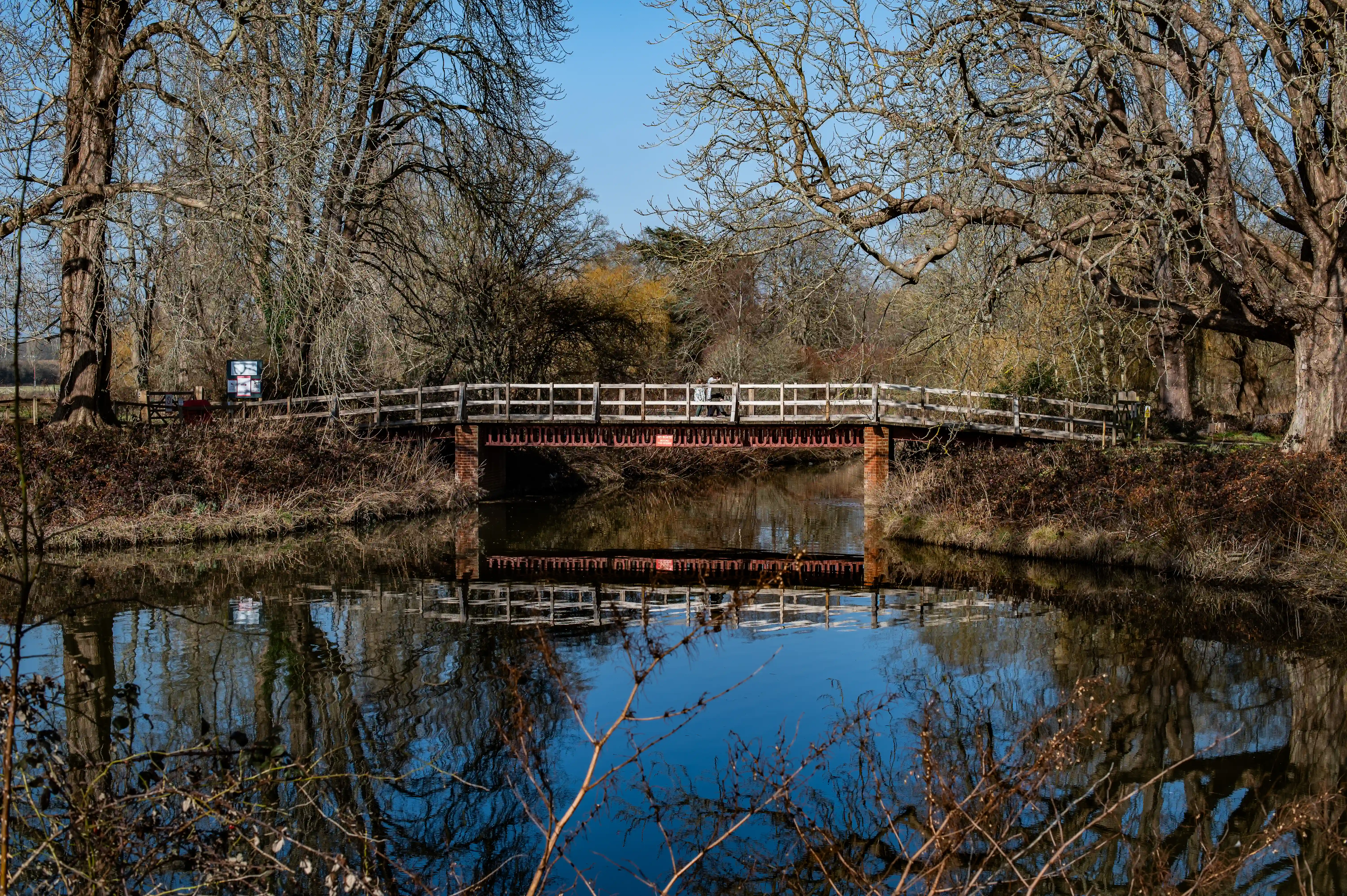 A wide-angle view of a stately stone manor house with multiple chimneys, seen across a reflective lake. Two white swans are visible on the grassy bank in the foreground. Bare trees with intricate branches fill the background and reflect in the water.