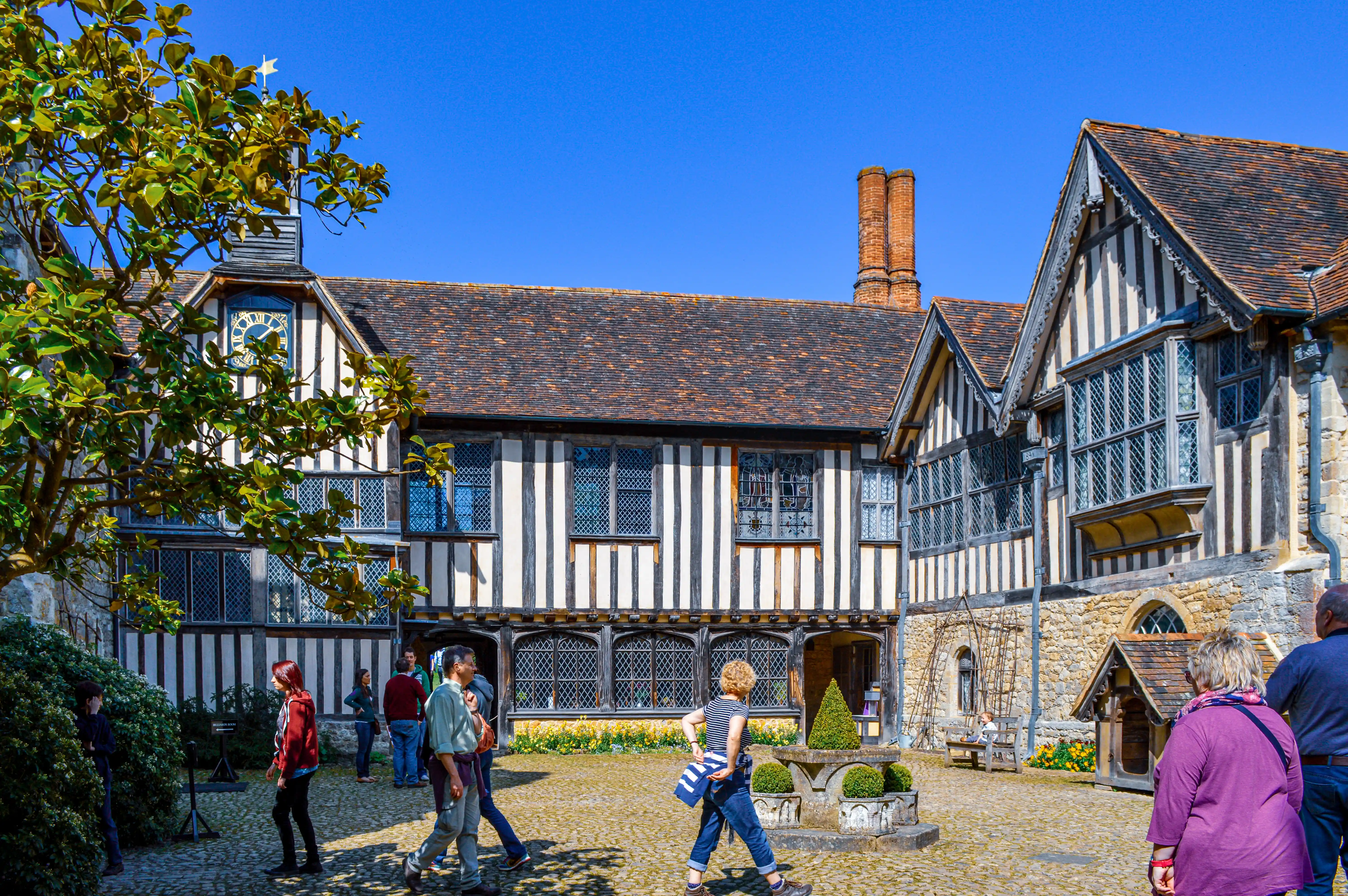 A courtyard with a large green magnolia tree in the foreground, leading to a historic building with stone walls and a Tudor-style structure with half-timbering and leaded glass windows. People are standing in the courtyard.