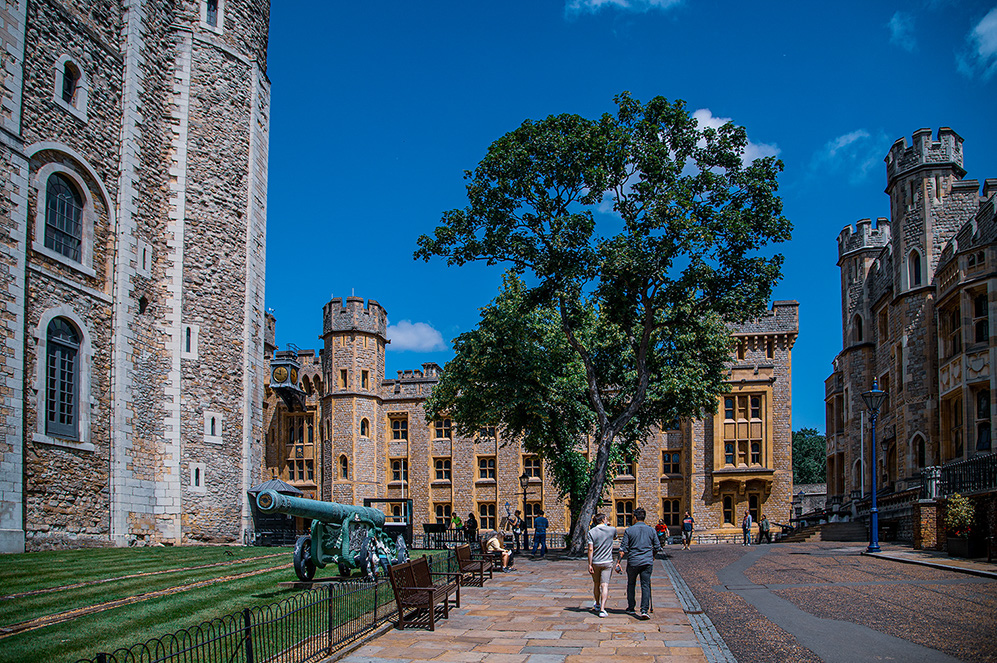 The image depicts a historic castle courtyard with stone buildings and towers. There are people walking and observing the surroundings. A large tree is centrally located, and there are cannons positioned on the left side of the image. The sky is clear and blue, suggesting a sunny day.