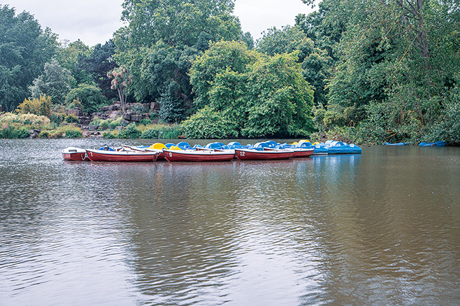 The image shows a serene body of water with several pedal boats docked and ready for use. The boats are lined up neatly, with some in red and others in blue. The surrounding area is lush with greenery, including trees and bushes, creating a peaceful and inviting atmosphere. The water is calm, reflecting the natural environment around it. This setting appears to be a tranquil spot, likely part of a park or recreational area, ideal for leisurely activities such as boating.