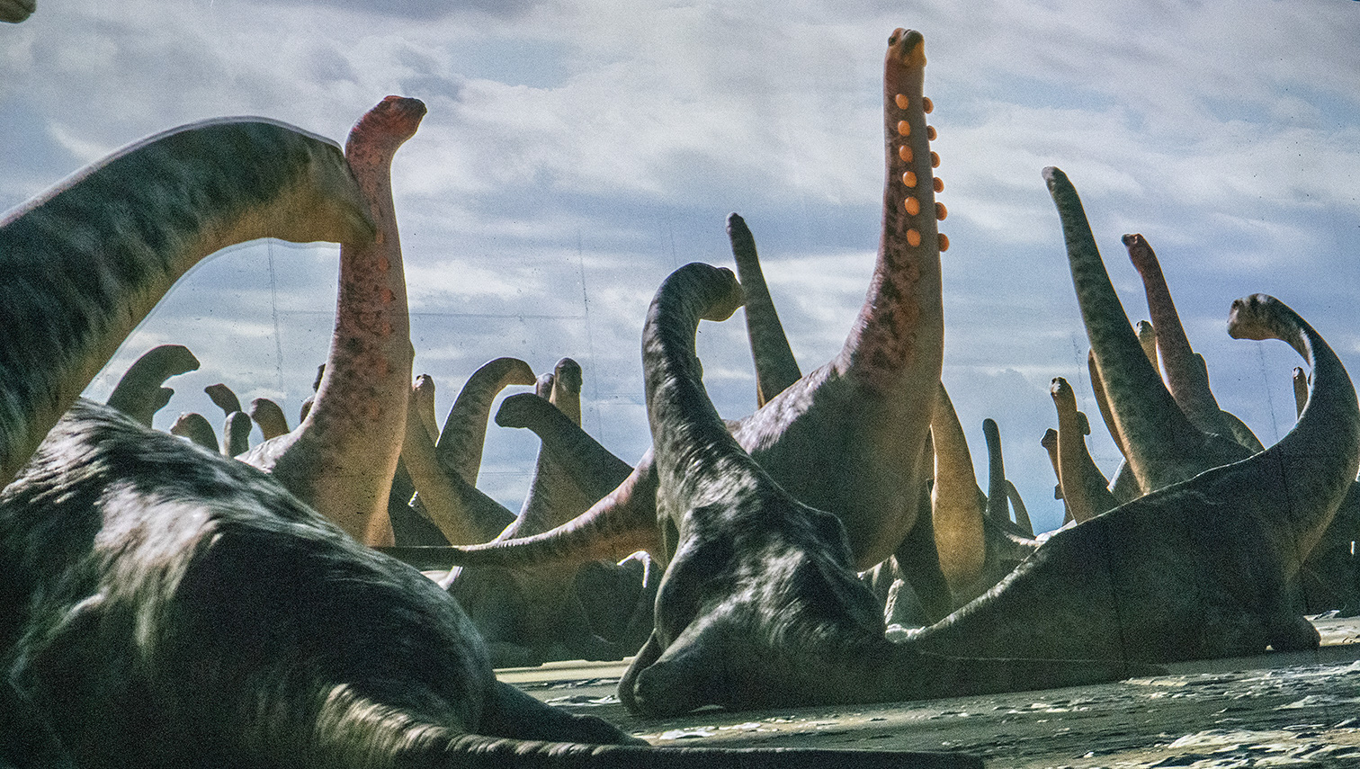 The image depicts a group of large dinosaur sculptures, specifically of the long-necked variety, possibly Brachiosaurus or similar species. The sculptures are arranged in a way that suggests they are drinking water from a body of water, with their necks extended downward. The scene is set outdoors under a cloudy sky, giving a prehistoric ambiance. The sculptures are detailed and lifelike, capturing the essence of these ancient creatures. The overall atmosphere is one of a prehistoric era, bringing to life the majestic and enormous size of these dinosaurs.