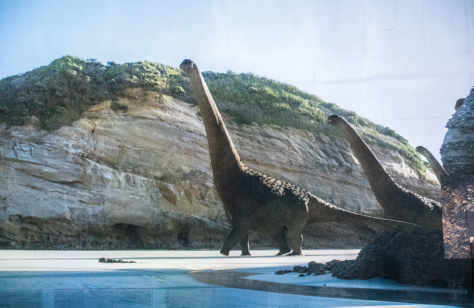 The image depicts a scene featuring a large dinosaur, likely a Brachiosaurus, walking along a rocky terrain with a backdrop of cliffs and vegetation. The dinosaur's long neck and tail are prominent, and it appears to be in a natural, prehistoric setting. The lighting suggests it might be a sunny day, and the terrain includes some water or wet areas in the foreground.