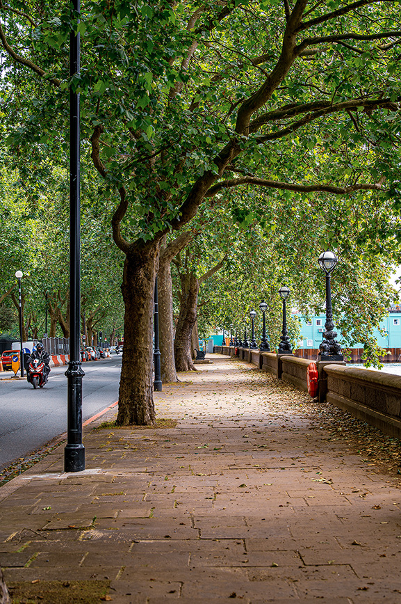 The image depicts a serene, tree-lined sidewalk along a street. The trees have thick trunks and lush green foliage, providing ample shade. The sidewalk is made of stone tiles and is bordered by black lampposts. A road runs parallel to the sidewalk, with a few vehicles visible in the distance. The scene is peaceful and well-maintained, suggesting a quiet, possibly residential area.