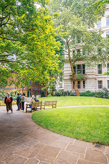 The image depicts a serene outdoor setting with a group of people gathered around a table under a large tree. The scene includes a well-maintained lawn, several benches, and a path made of stone tiles. The background features a large, elegant building with multiple windows, partially obscured by the tree and other greenery. The overall atmosphere is peaceful and inviting, suggesting a place where people can relax and socialize.