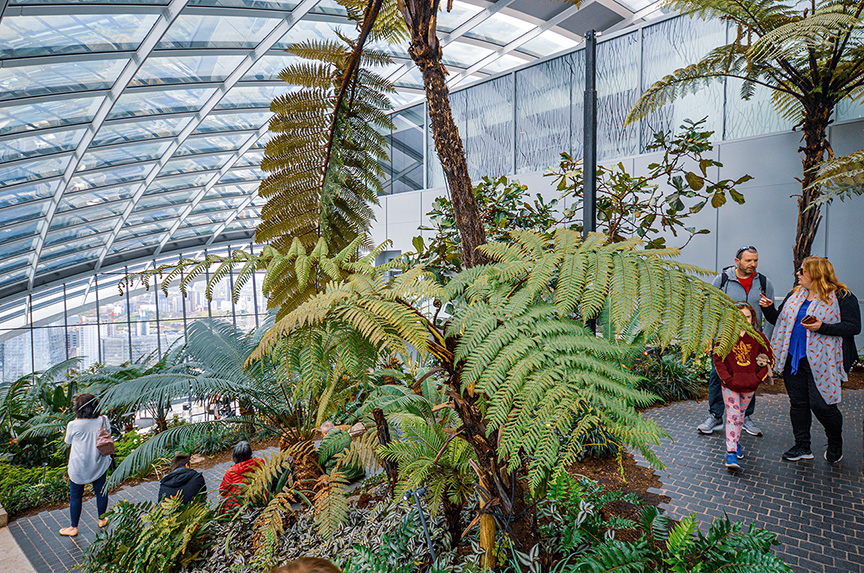 The image depicts a group of people inside a large greenhouse or conservatory. The space is filled with various types of ferns and other lush greenery. The structure features a high, glass ceiling allowing natural light to flood the area. Some individuals are observing the plants closely, while others are walking around, suggesting a leisurely or educational visit.