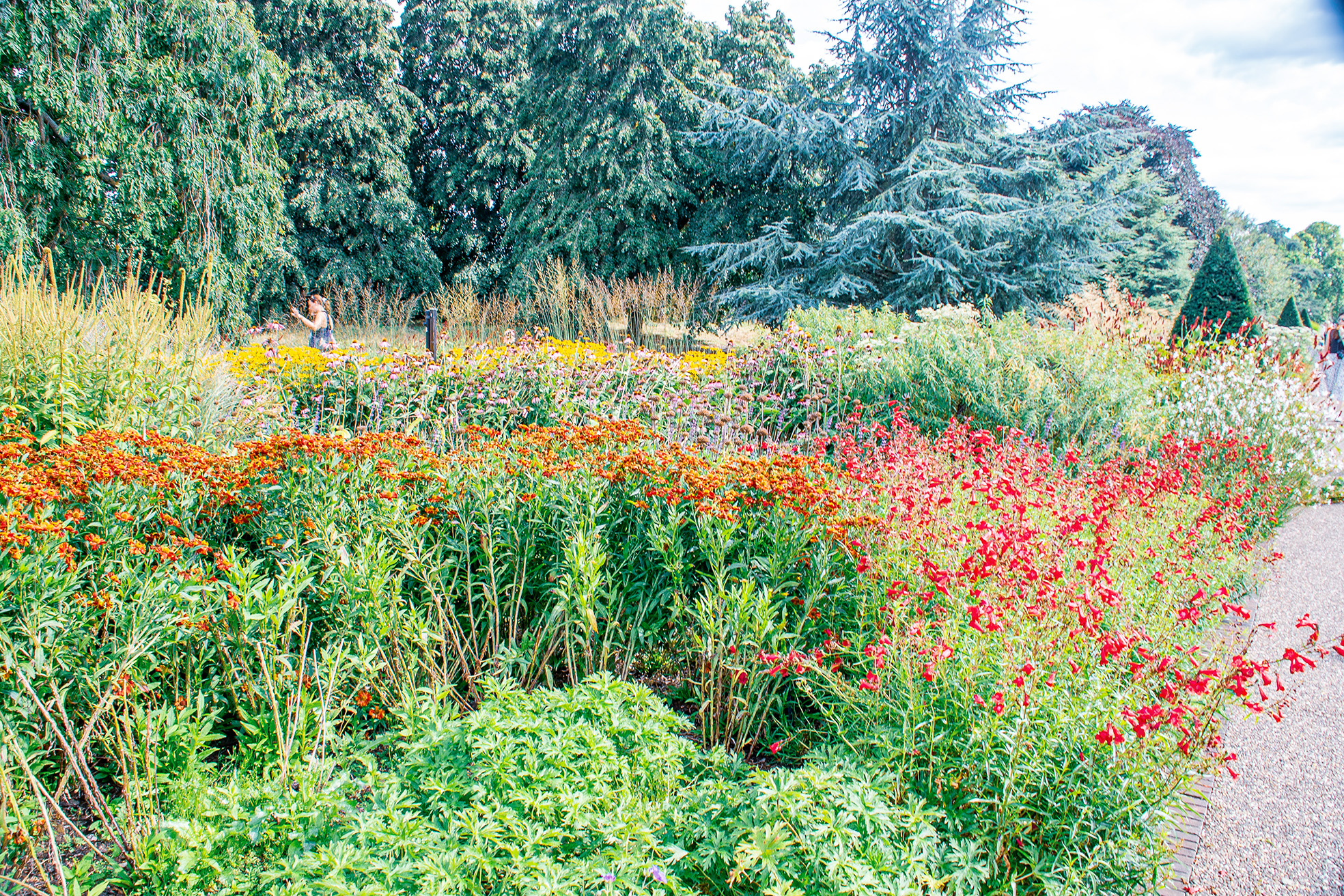 The image depicts a vibrant garden with a variety of colorful flowers and lush greenery. There is a paved path running through the garden, with a few people visible in the background. The garden is surrounded by tall trees, creating a serene and picturesque setting.