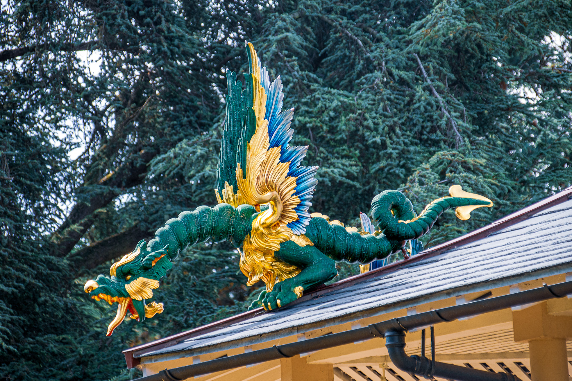 The image depicts a traditional Japanese architectural ornament known as a shachihoko, which is a mythical creature often used as a roof decoration on temples and castles. The shachihoko is typically a carp-like creature with the head of a tiger, and it is often painted in vibrant colors, as seen in the image with green scales and a golden mane. This ornament is believed to protect buildings from fire.