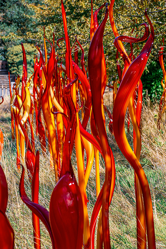 The image features a vibrant outdoor sculpture made of red and orange glass. The sculpture consists of numerous twisted, flame-like shapes that rise from the ground, creating a dynamic and fiery visual effect. The artwork is set in a natural environment with greenery and a bench visible in the background, suggesting it is part of a public art installation or garden.