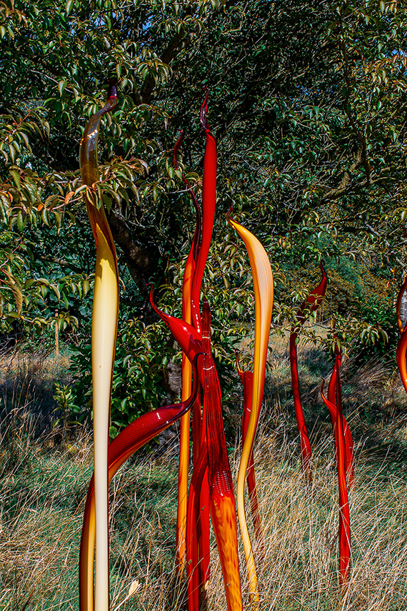The image depicts a group of colorful, twisted sculptures placed in a natural setting with tall grass and trees in the background. The sculptures are primarily red and yellow, with some orange, and are arranged in a somewhat chaotic manner. They appear to be made of a smooth, shiny material, possibly glass or metal, and are designed to contrast with the natural environment around them.