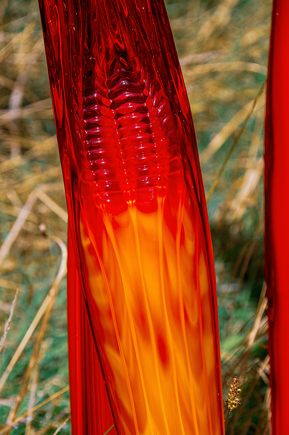 The image depicts a close-up view of a vibrant, red glass sculpture with a smooth, glossy surface. The sculpture has a segmented, ribbed texture and is set against a blurred background of green foliage, creating a striking contrast between the sharp, vivid red of the glass and the soft, natural greens in the background.