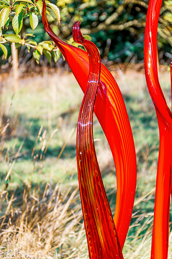 The image showcases vibrant red glass sculptures with intricate patterns, set against a natural background with green foliage and dry grass.