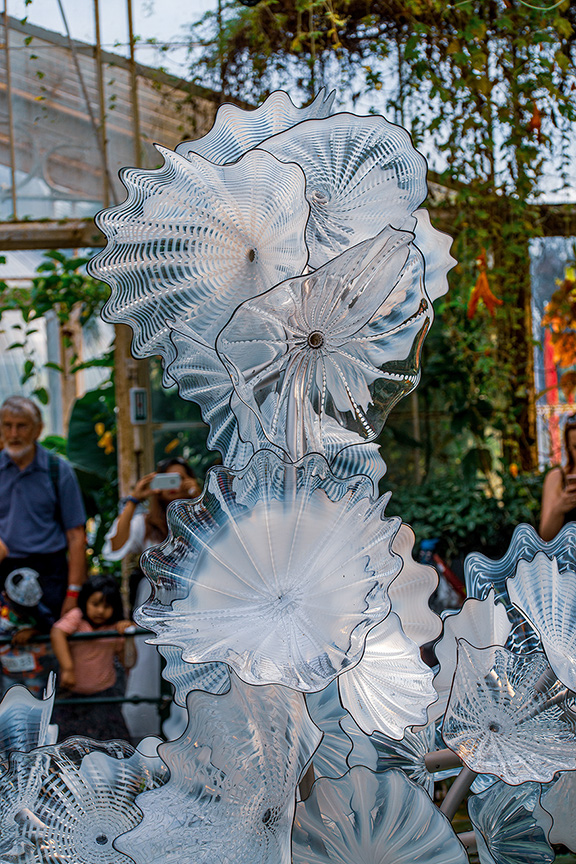 The image depicts a close-up of intricate, translucent glass sculptures resembling blooming flowers or sea creatures, likely made by a glassblower. The sculptures are displayed outdoors, with people and greenery in the background, suggesting an art fair or market setting.