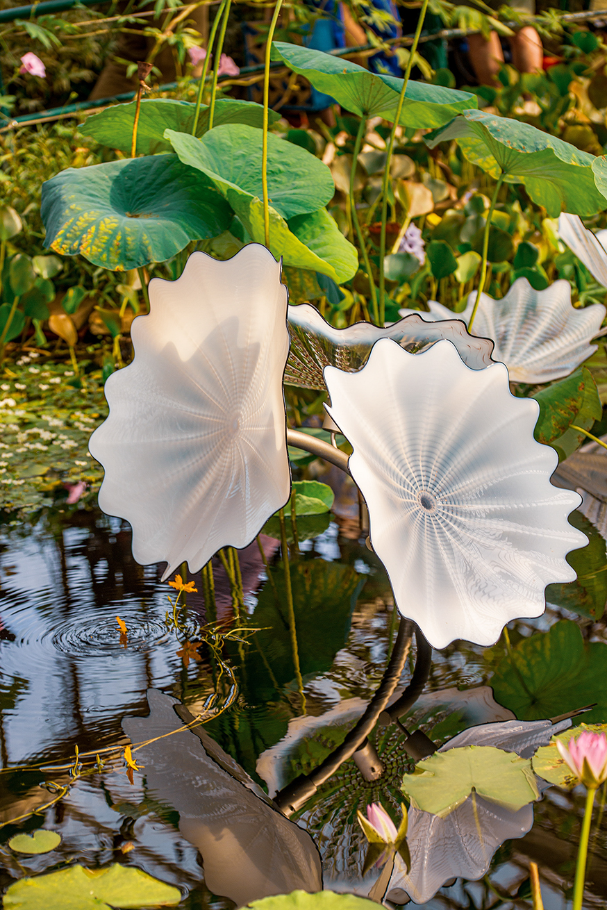 The image showcases a serene pond setting with large, translucent, lotus-like sculptures prominently displayed among natural green foliage and water plants. The sculptures mimic the appearance of lotus leaves and add an artistic touch to the natural environment. The pond water is calm, reflecting the surrounding greenery and the sculptures. The overall scene is tranquil and aesthetically pleasing, blending art with nature.