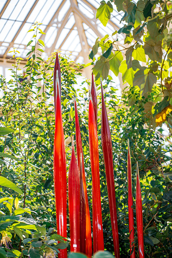 he image depicts a lush greenhouse environment with tall, vibrant red flower spikes prominently displayed in the center. The structure of the greenhouse is visible in the background, with a glass roof allowing ample sunlight to filter through. Surrounding the red flowers are various green foliage and plants, creating a rich, verdant atmosphere.
