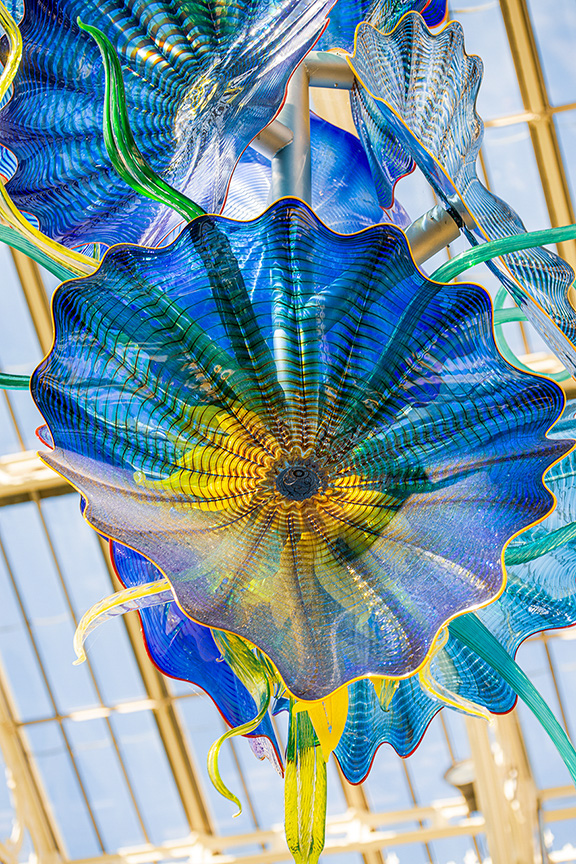 The image showcases a vibrant and intricate glass sculpture, likely part of an art installation. The sculpture features a large, flower-like design with vivid colors including blue, green, and yellow. The detailed patterns and smooth, curved edges of the glass petals create a visually striking effect. The sculpture is suspended from above, possibly within a greenhouse or a similar structure with a metal framework and glass panels in the background.