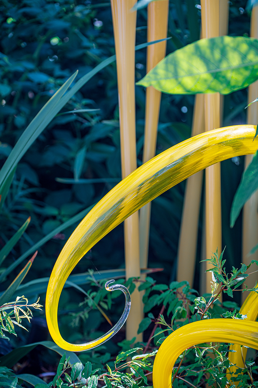 The image depicts a close-up of a yellow metal structure, possibly a chair, set against a lush green background of various plants and foliage. The design of the chair is intricate, with curved elements and a decorative hook. The vibrant yellow color of the chair contrasts with the natural greens of the surrounding plants, creating a visually striking scene.