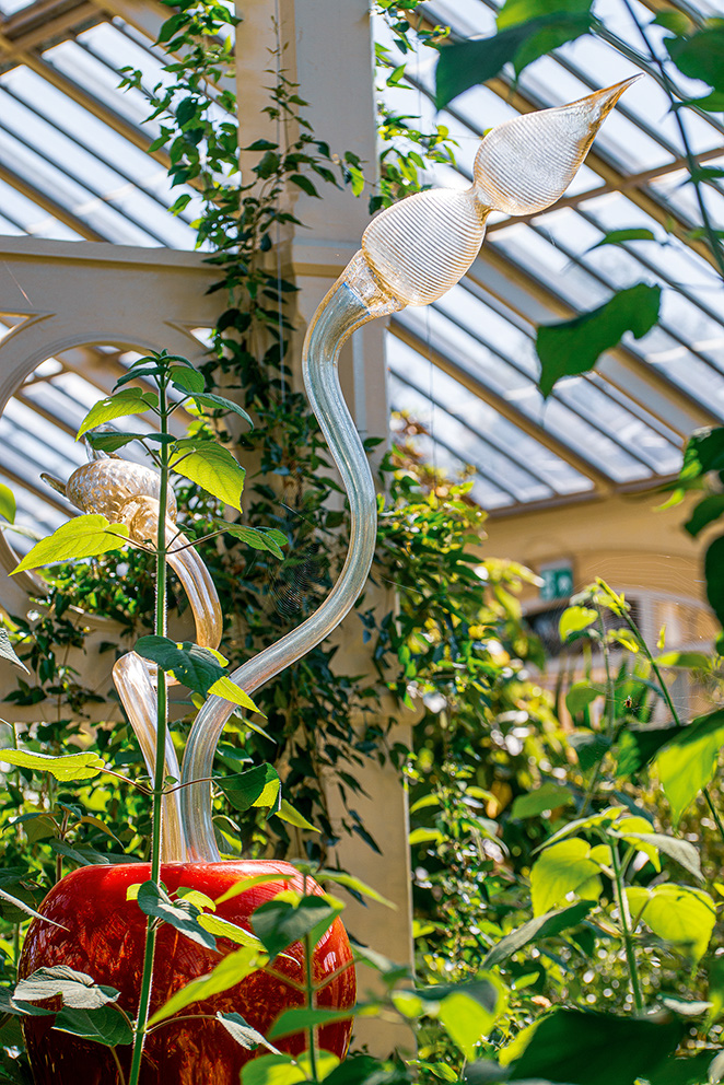 The image depicts a glass sculpture in a greenhouse setting. The sculpture features elongated, translucent forms that resemble leaves or vines, extending upwards and intertwining with the surrounding greenery. The structure is supported by a red pot at the base, and the background shows a glass ceiling and various plants.