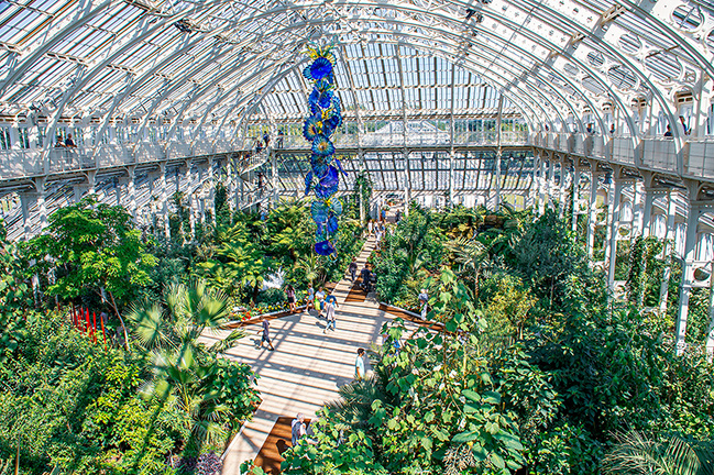 The image depicts a large, lush greenhouse filled with a variety of tropical plants and trees. A prominent feature is a tall, blue, spiral sculpture that extends upwards towards the glass ceiling. The greenhouse has a high, arched roof made of glass panels, allowing natural light to flood the interior. There are several visitors walking along a wooden pathway that winds through the greenery. The overall atmosphere is vibrant and verdant, creating a serene and inviting environment.