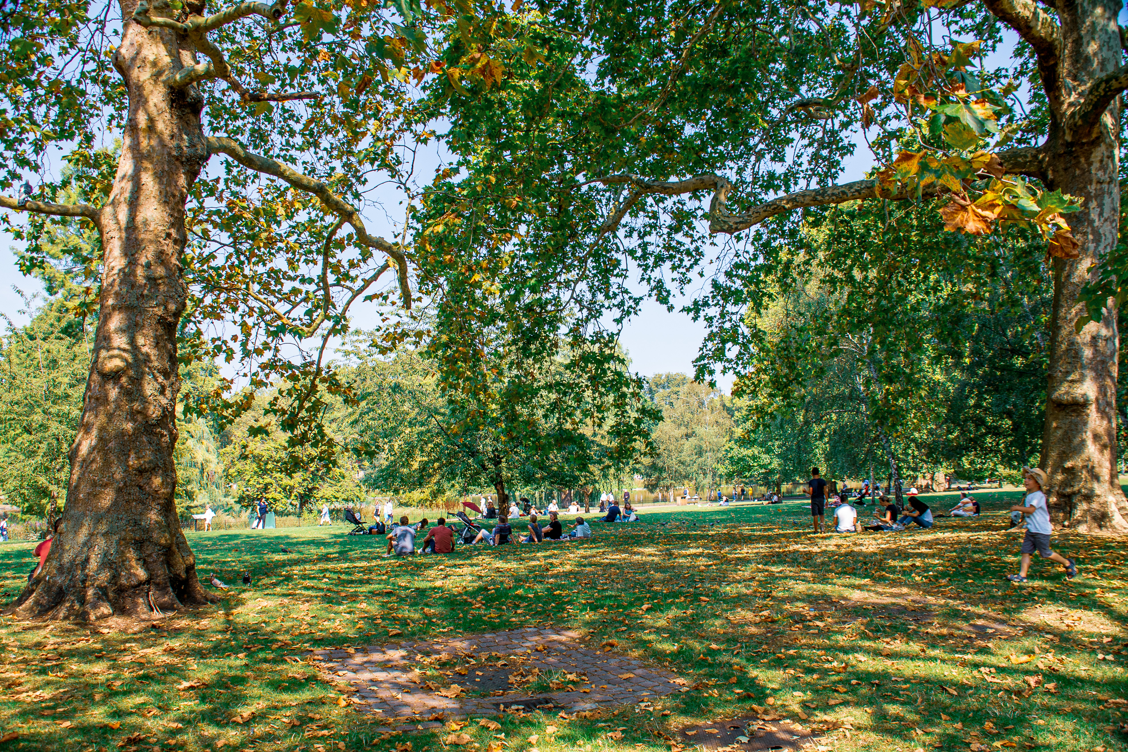 The image depicts a park scene with large trees and a grassy area. People are seen relaxing, sitting, and walking around, enjoying the sunny day. The trees provide ample shade, and the park appears to be a popular spot for leisure activities.