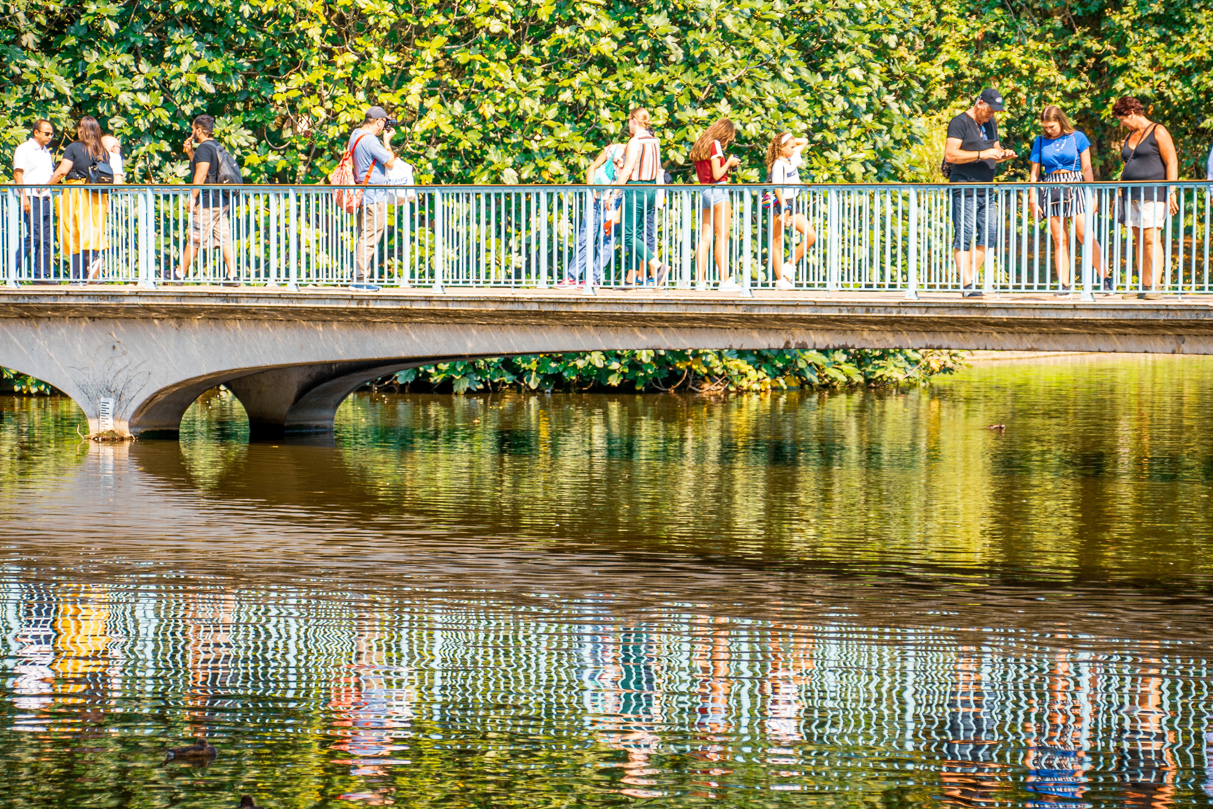The image depicts a group of people walking and standing on a bridge over a calm body of water. The bridge is surrounded by lush greenery, and the water below reflects the bridge and the foliage, creating a serene and picturesque scene.