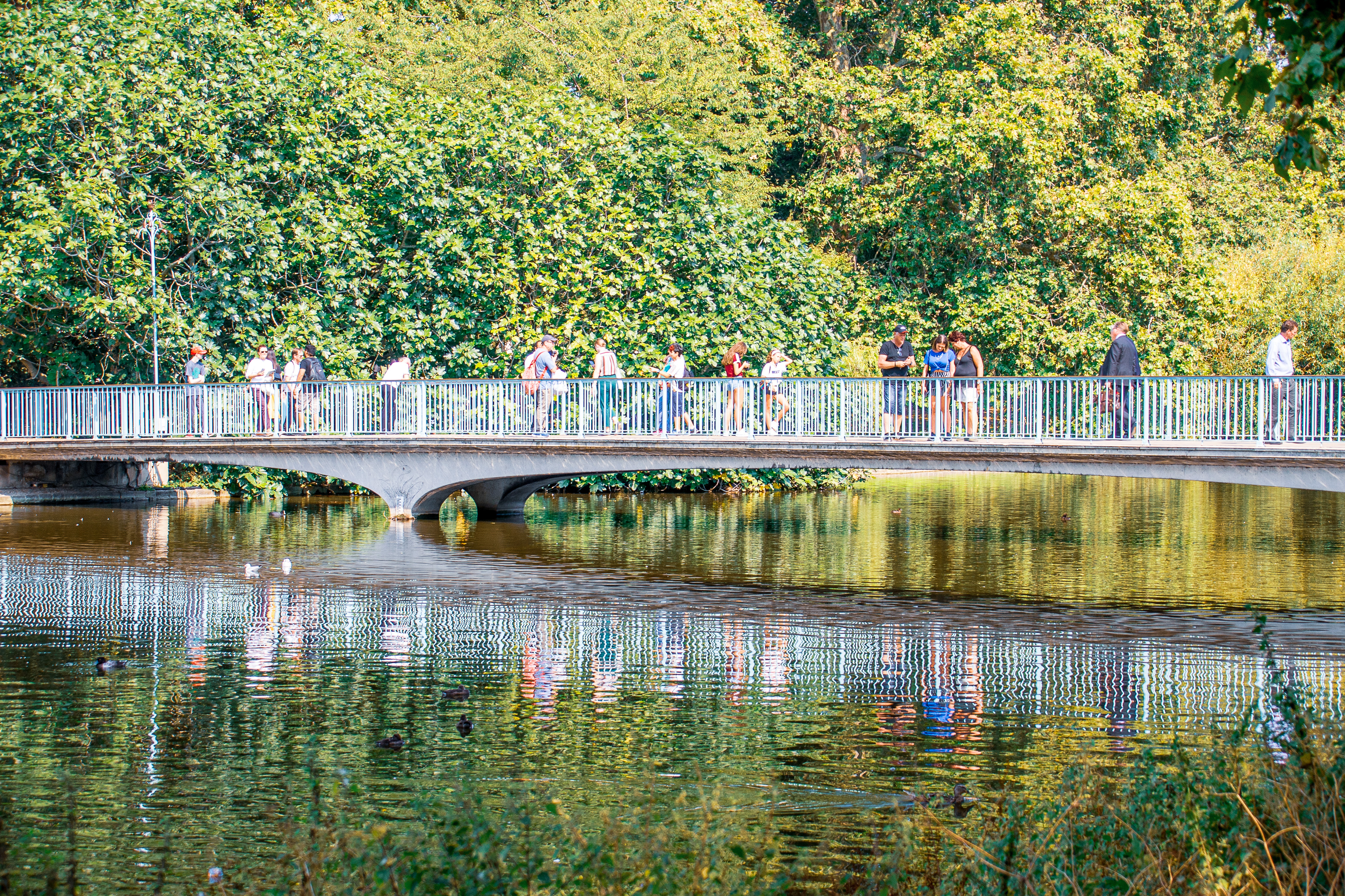 The image depicts a serene scene of a bridge over a calm body of water, surrounded by lush greenery. Several people are walking or standing on the bridge, enjoying the view. The water reflects the bridge and the surrounding trees, adding to the tranquil atmosphere.