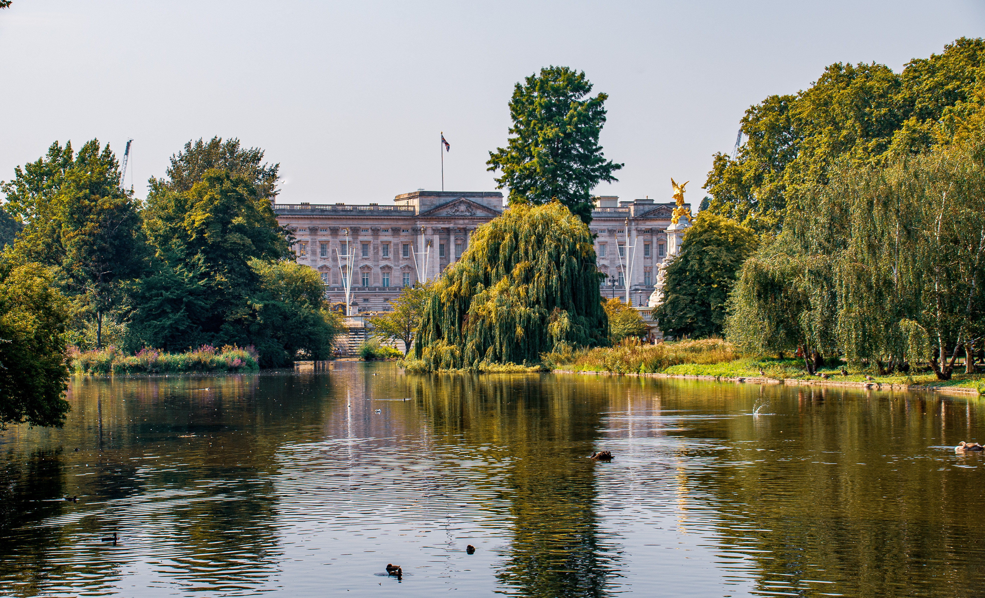 The image depicts a serene scene of a large, ornate building, likely a palace or mansion, situated behind a tranquil lake. The building is surrounded by lush greenery, including various trees and shrubs, creating a peaceful and picturesque environment. The lake in the foreground is calm, reflecting the surrounding greenery and the building. There are ducks and other birds visible on the water, adding to the natural ambiance. The overall atmosphere is one of tranquility and elegance, with the grand building serving as a focal point amidst the natural beauty.