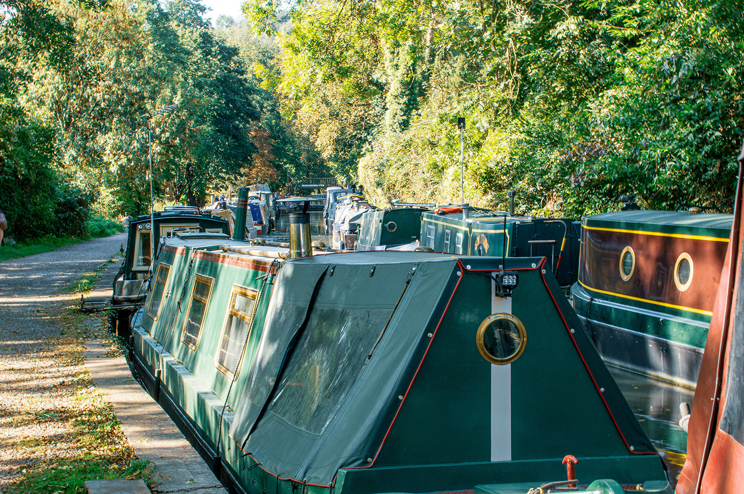 The image shows a row of narrowboats moored along a canal, surrounded by lush greenery and trees. The boats are painted in various colors, with the closest one being green with gold accents. The scene is peaceful and picturesque, suggesting a serene and scenic environment, likely in a rural or semi-rural area.