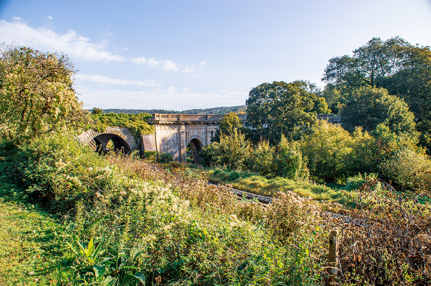 The image depicts an old, overgrown stone bridge with multiple arches, surrounded by dense vegetation and trees. The bridge appears to be in a state of disrepair, with some arches partially obscured by foliage. The scene is set in a rural, natural environment under a clear blue sky.